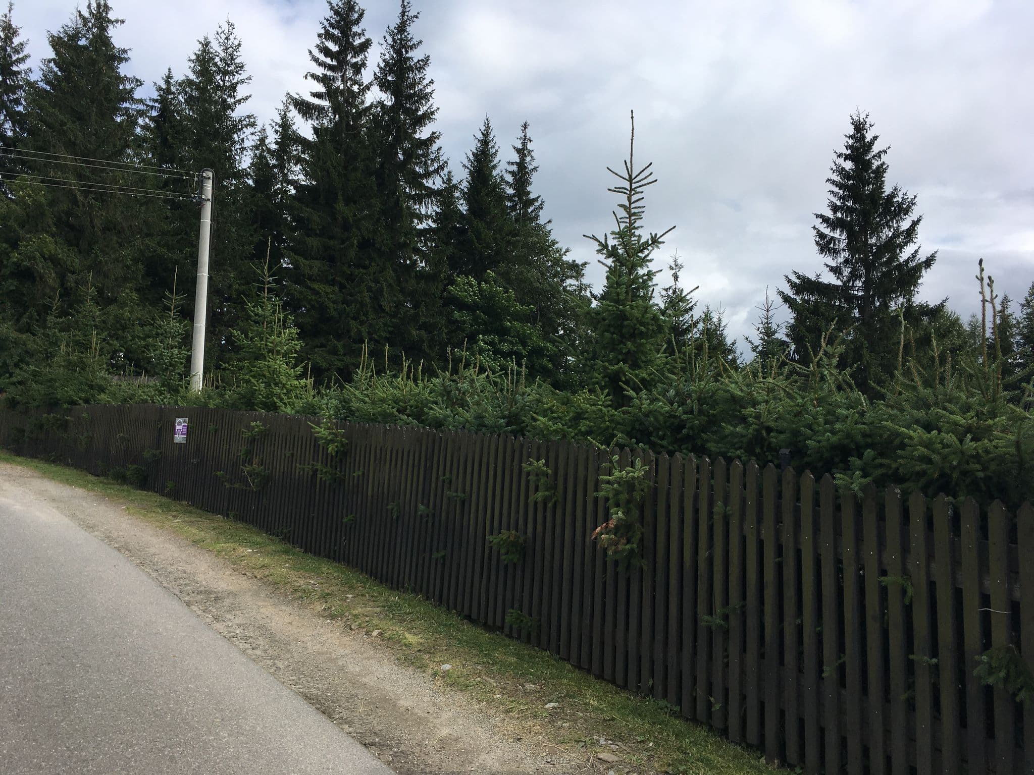 Street view near Górski Dworek, Zakopane