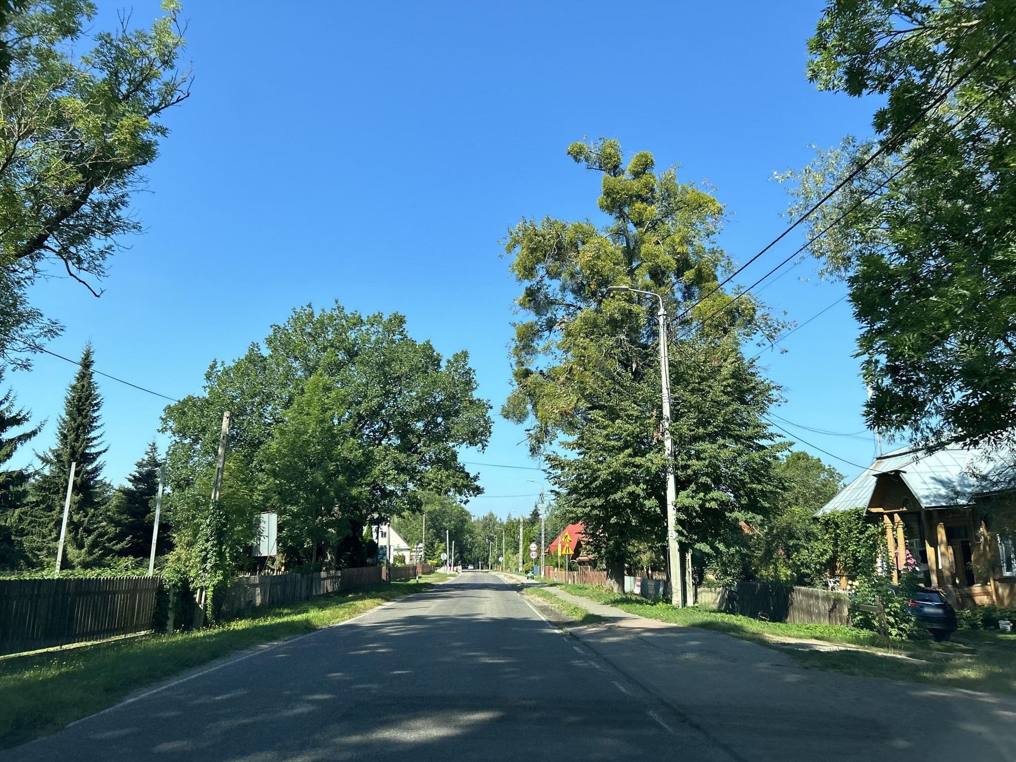 Street view near Bierozka, Białowieża — © strudel (CC BY-SA · Mapillary)