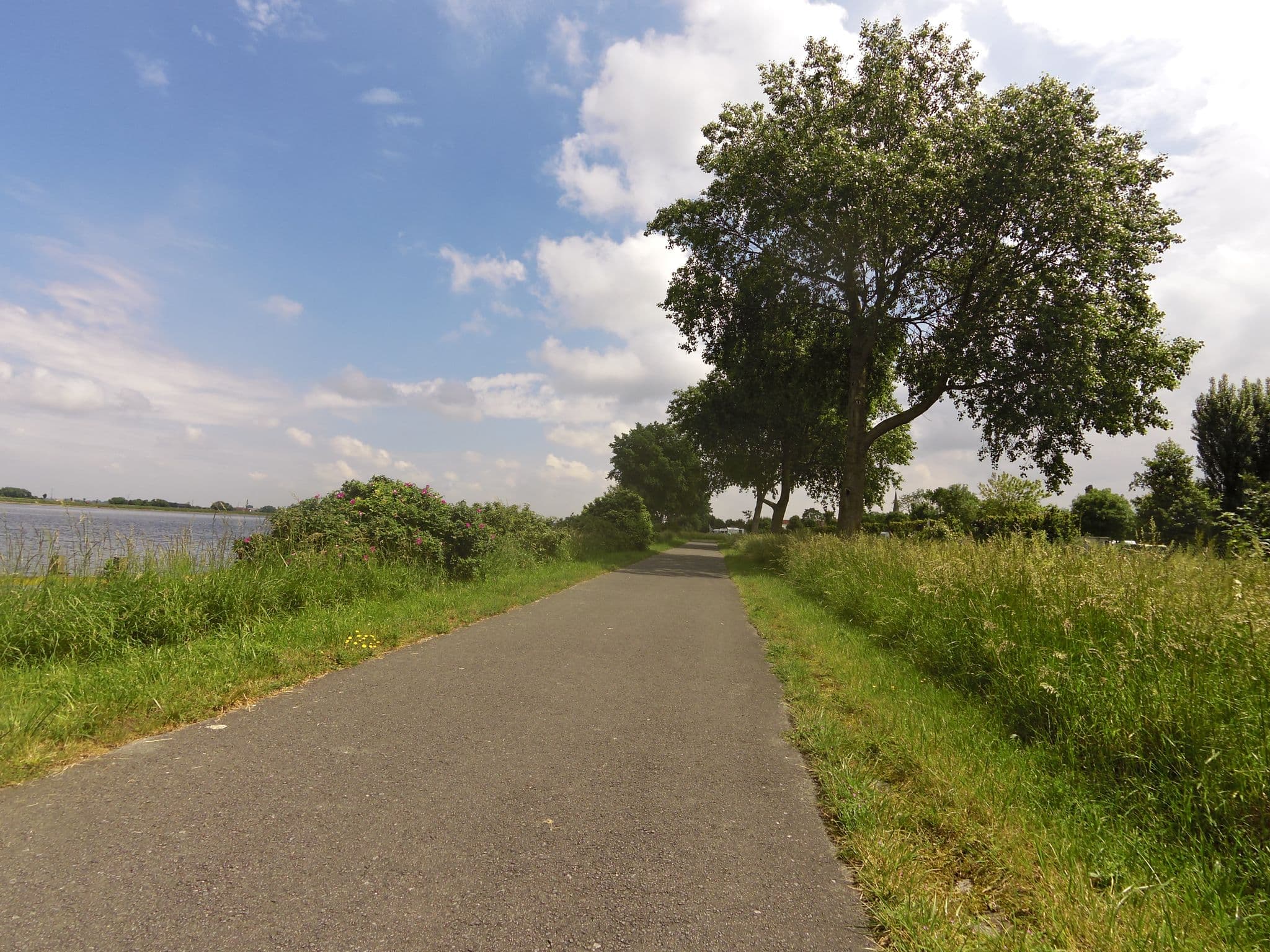 Street view near Wood Lodge, Nieuwpoort — © zors1843 (CC BY-SA · Mapillary)