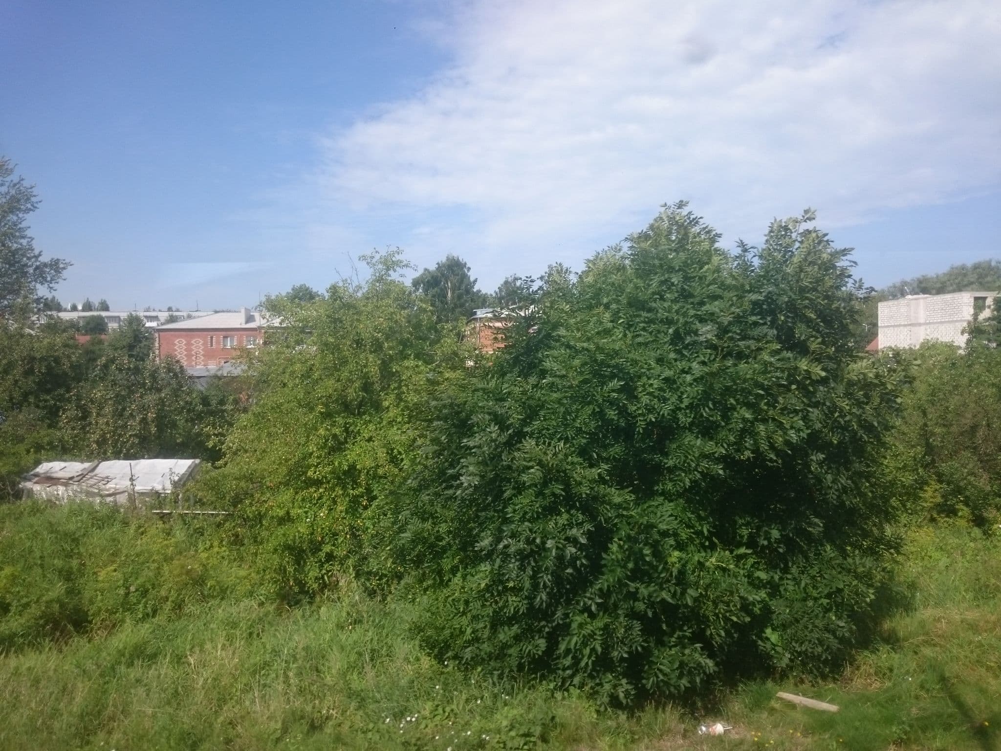 Street view near Elisa Space Club, Zelenogradsk — © tugunov (CC BY-SA · Mapillary)