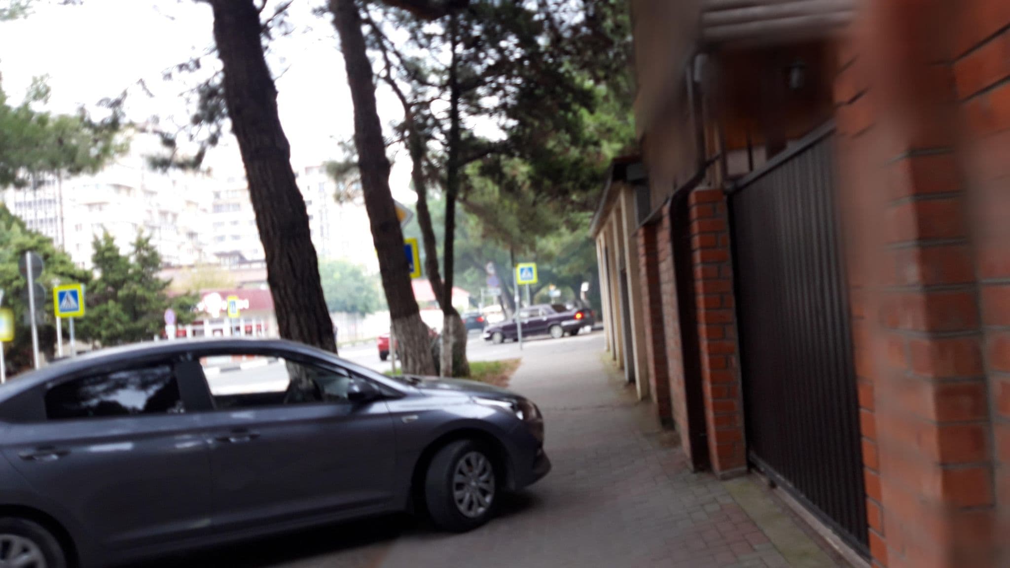 Street view near Bamboo, Gelendzhik — © wowik (CC BY-SA · Mapillary)