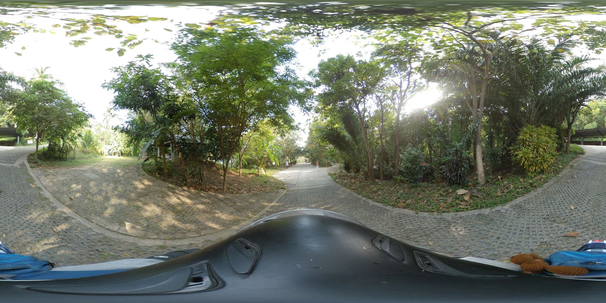 Street view near Dipabhaven Meditation Retreats, Ko Samui