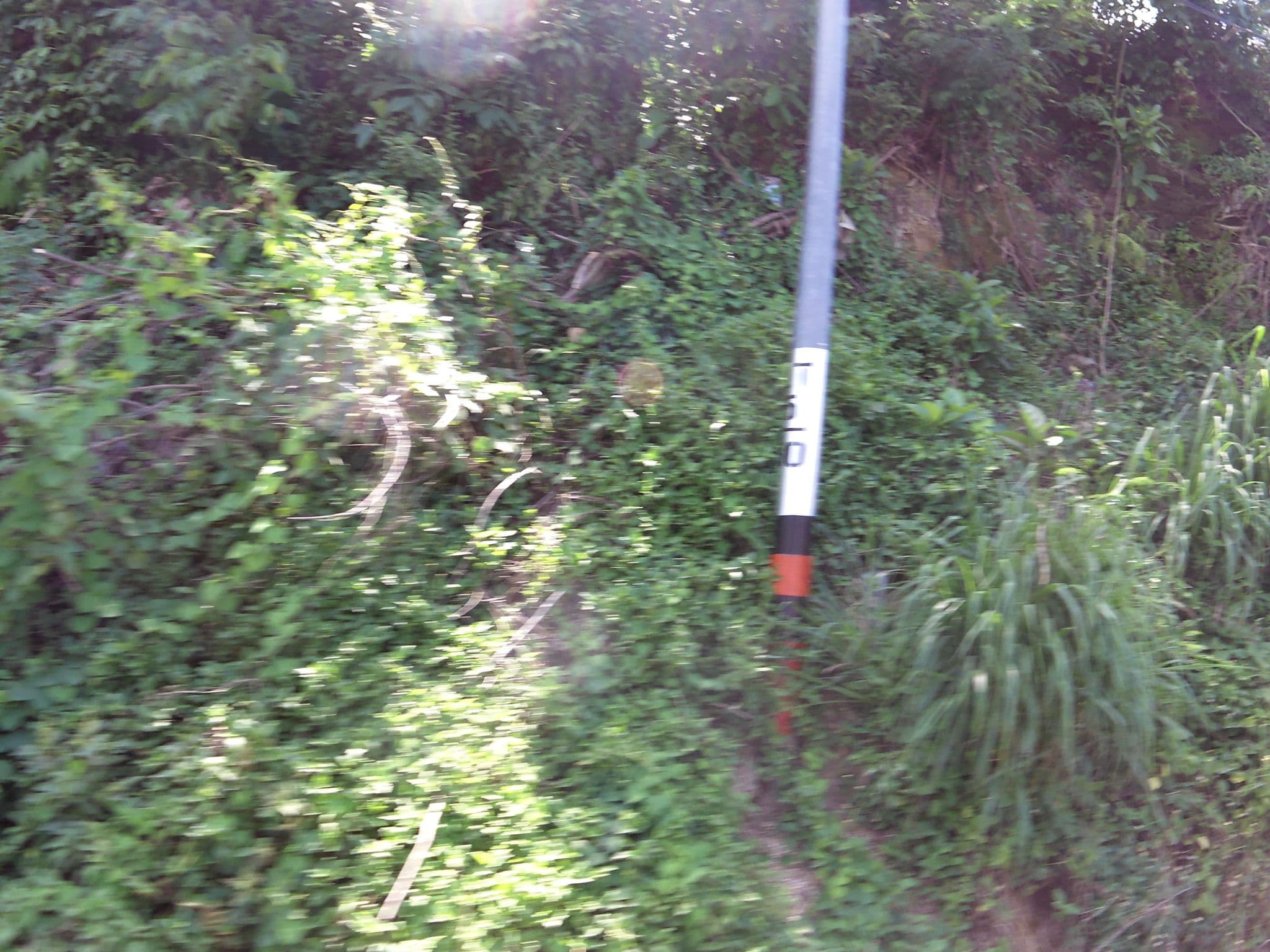 Street view near Lae Lay Suites, Ban Kata