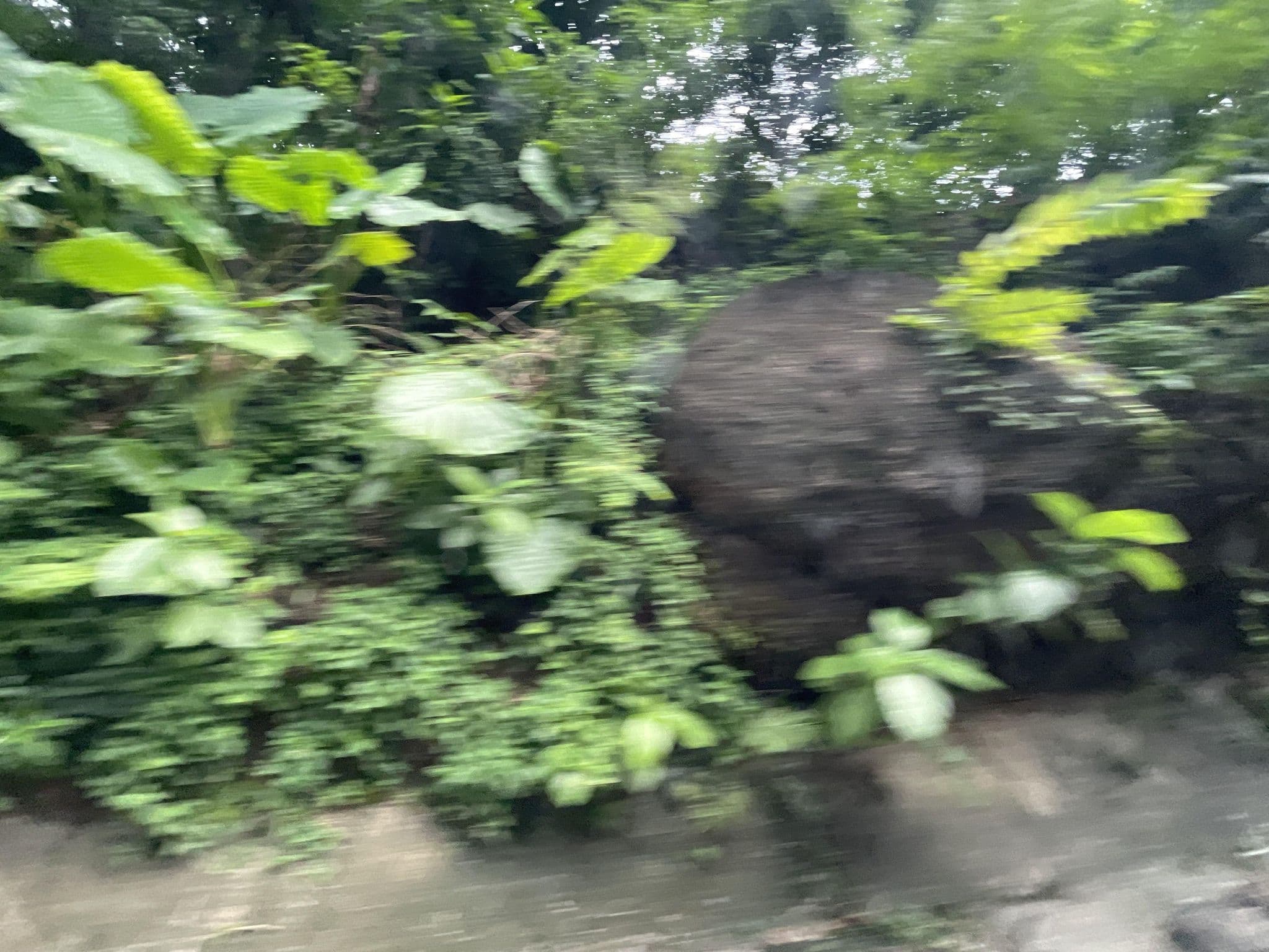 Street view near Andaman Cannacia Resort, Ban Kata