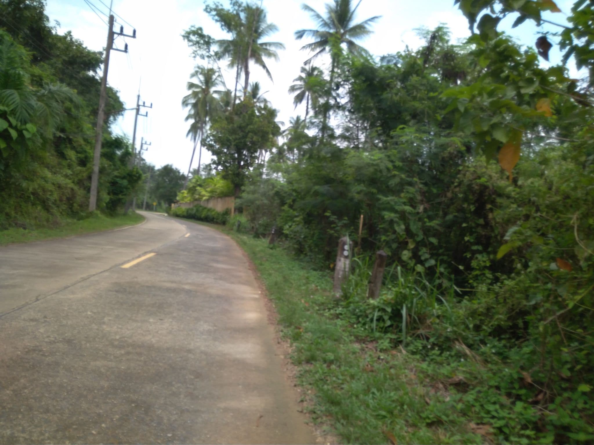 Street view near Holiday Resort Kho Yao Noi, Ban Phru Nai