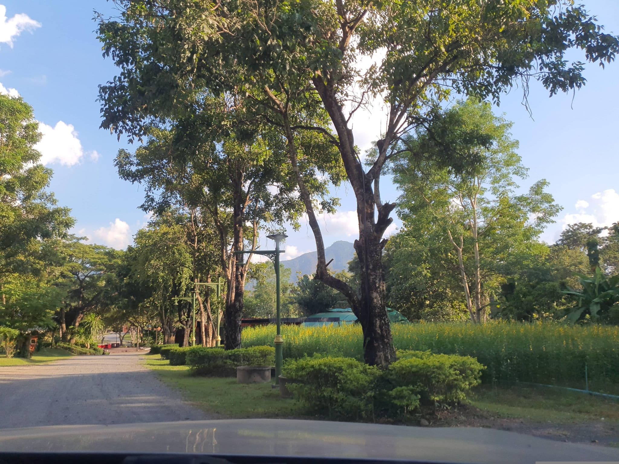 Street view near Lake View Resort, San Kamphaeng — © jrcarlsen (CC BY-SA · Mapillary)