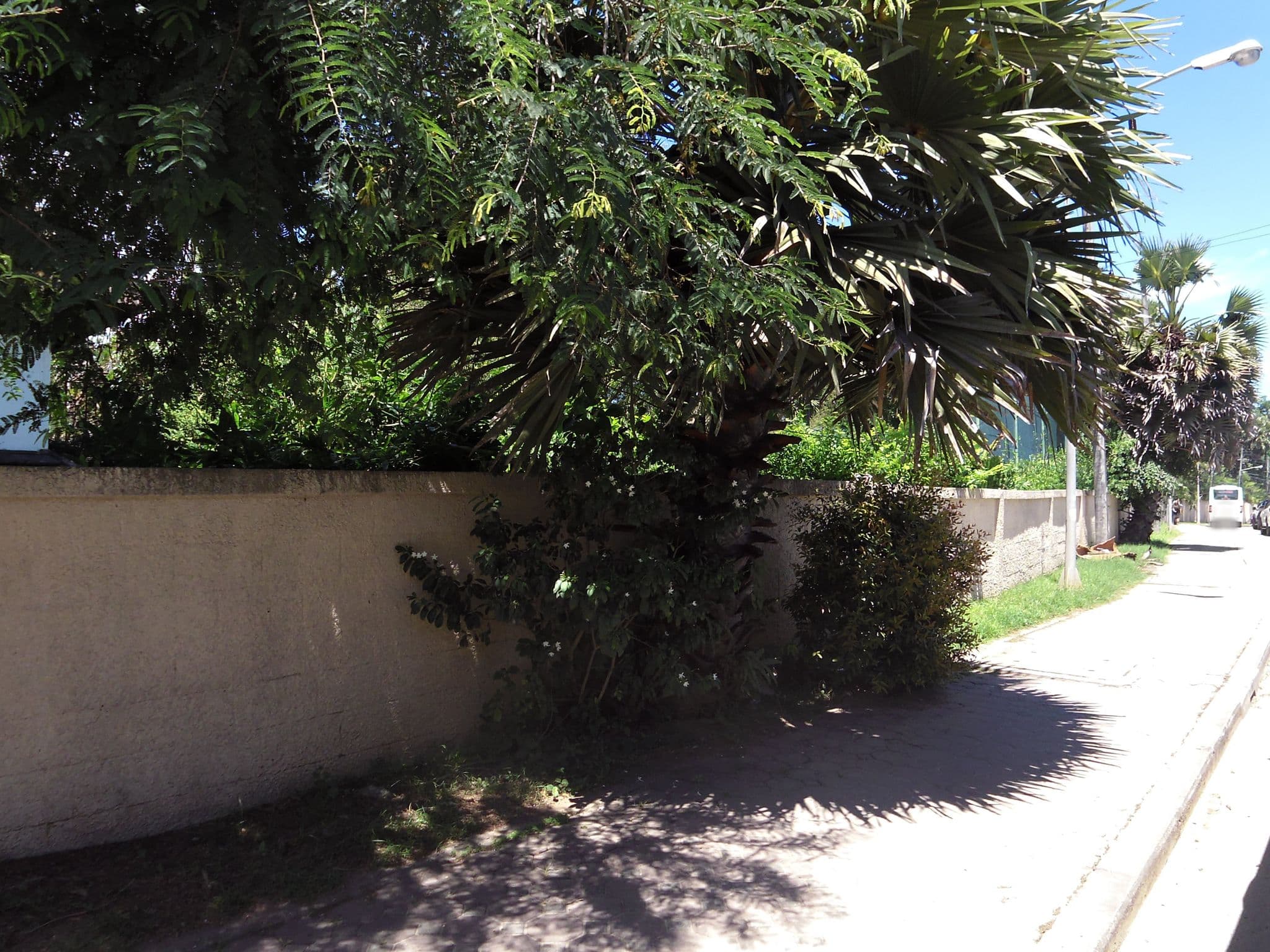 Street view near Kata Silver Sun, Ban Kata — © skillsy (CC BY-SA · Mapillary)