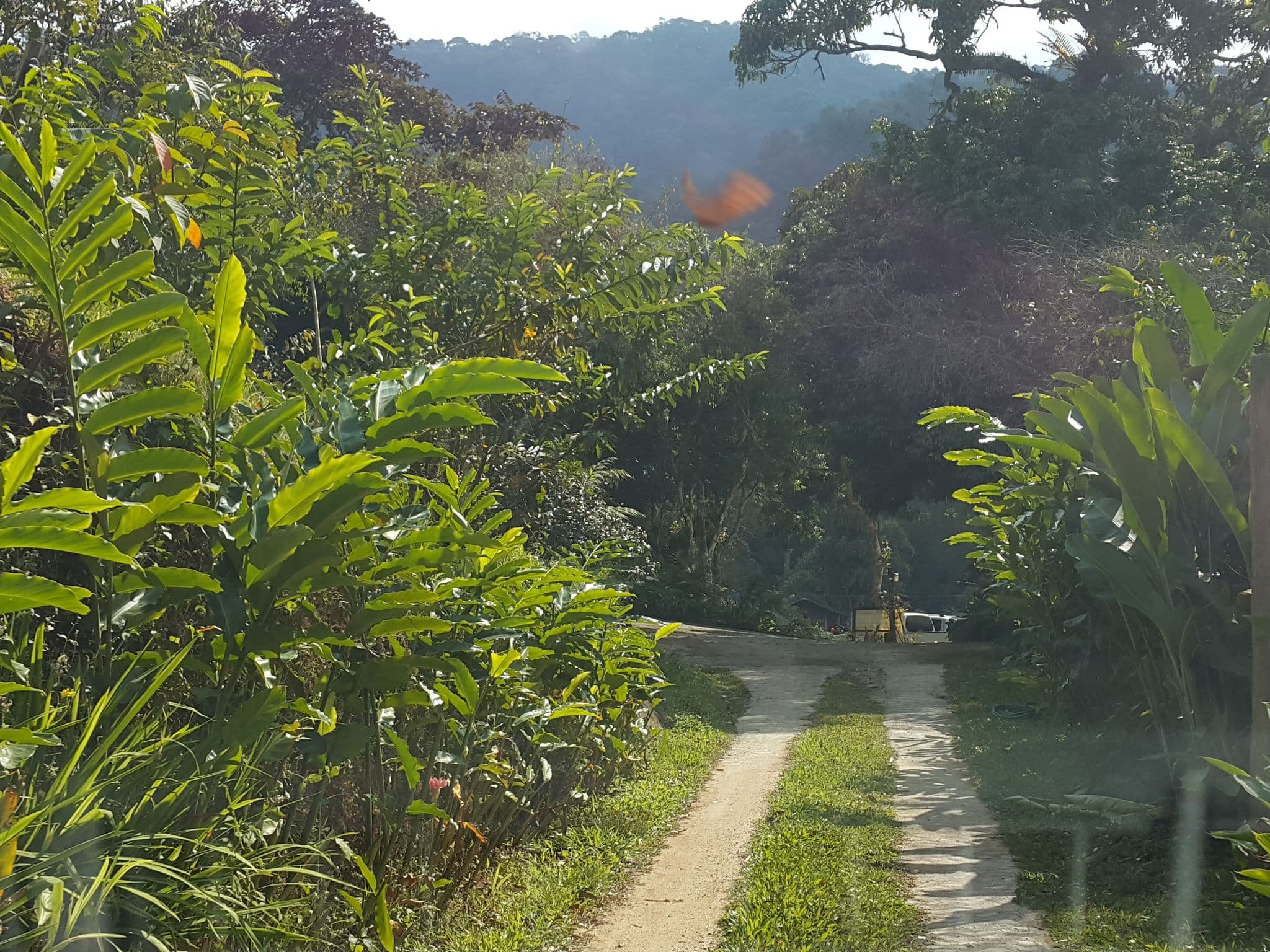 Street view near Baan Pok Homestay, San Kamphaeng — © jrcarlsen (CC BY-SA · Mapillary)