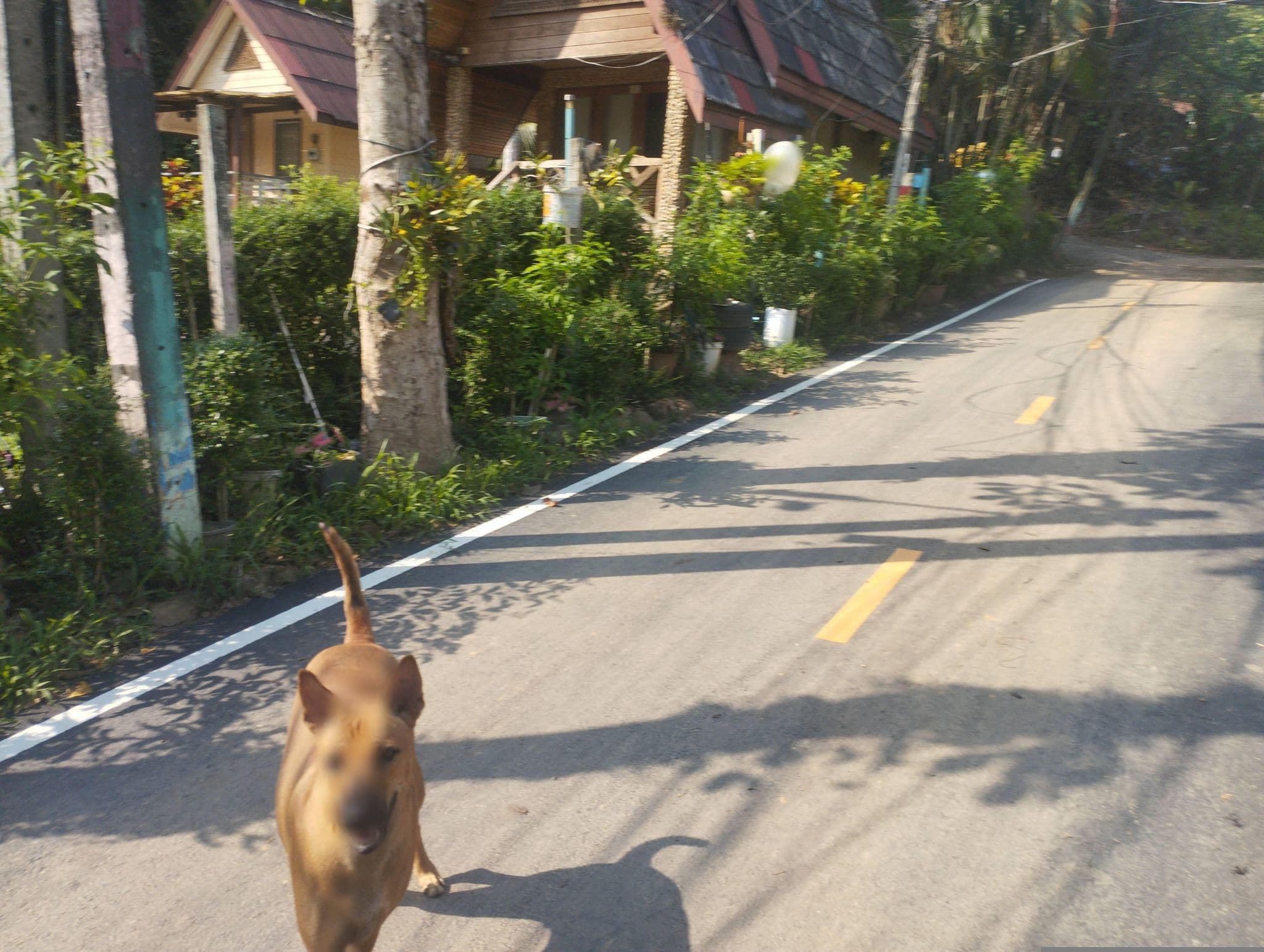 Street view near White Sand Garden, Ko Chang