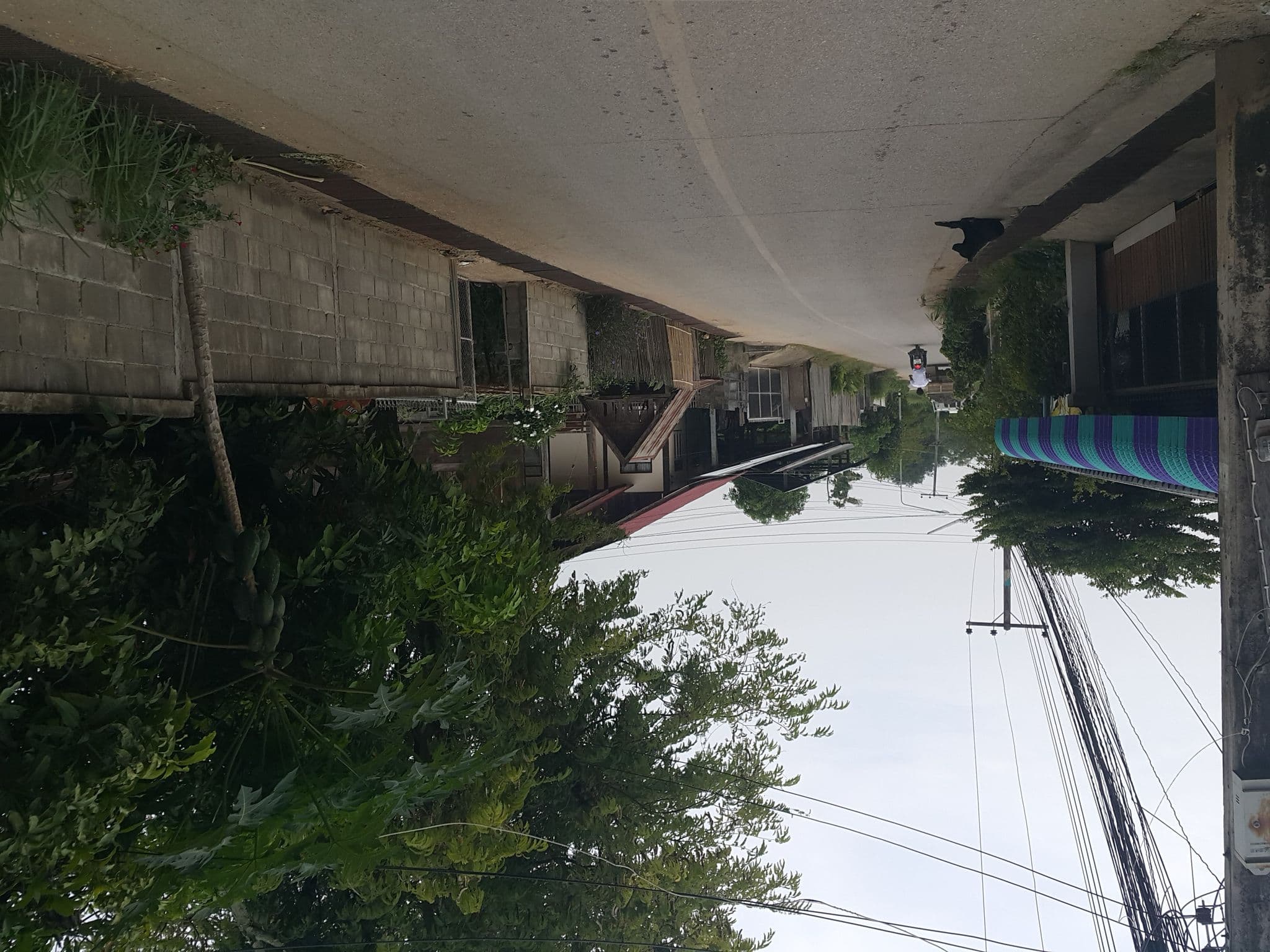 Street view near Churn Yuen Pai by Gampanat Guesthouse, Pai — © jrcarlsen (CC BY-SA · Mapillary)