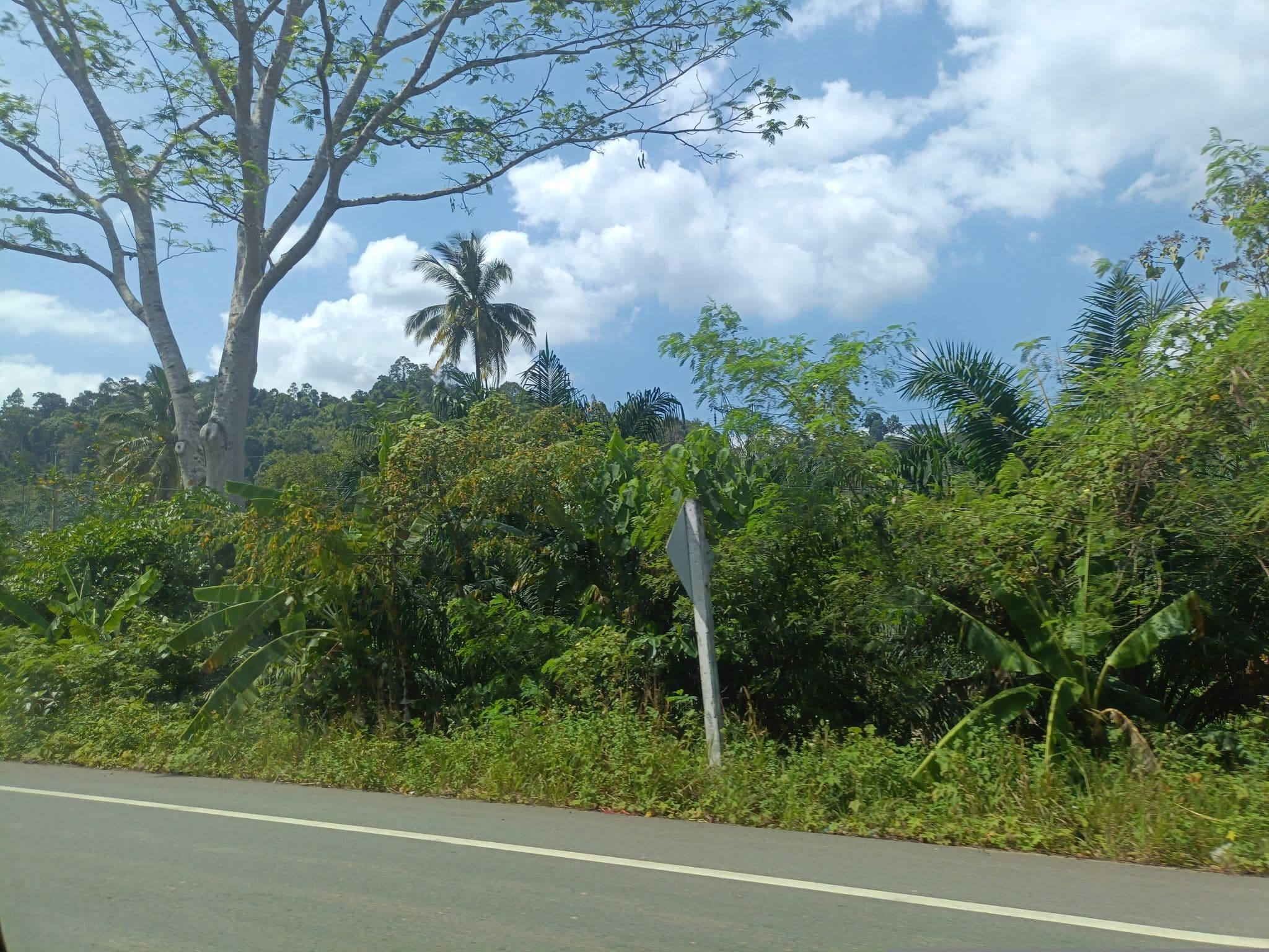 Street view near Gaarawe, Tha Khanon — © skillsy (CC BY-SA · Mapillary)