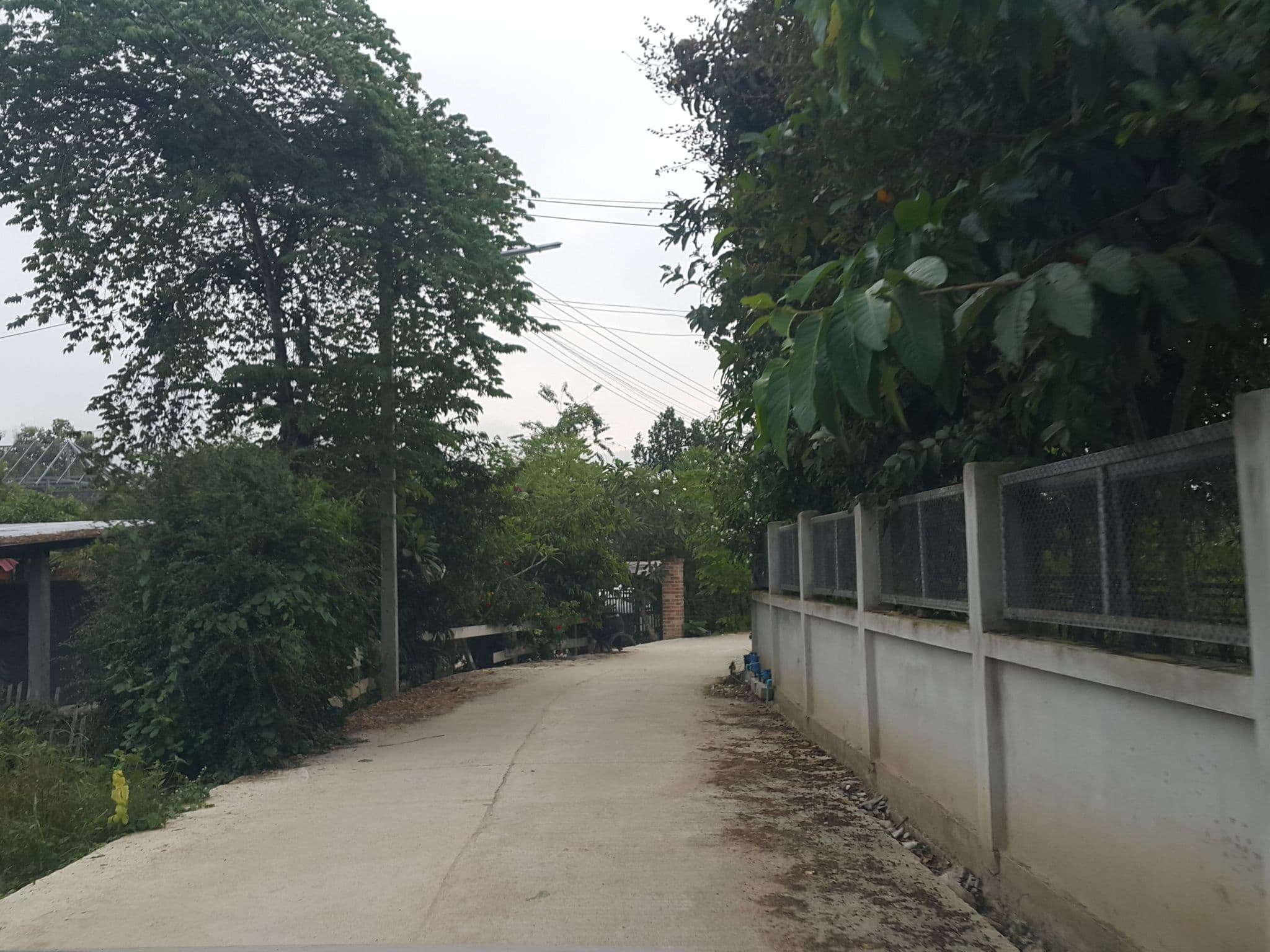 Street view near Pai Friendly Resort, Pai