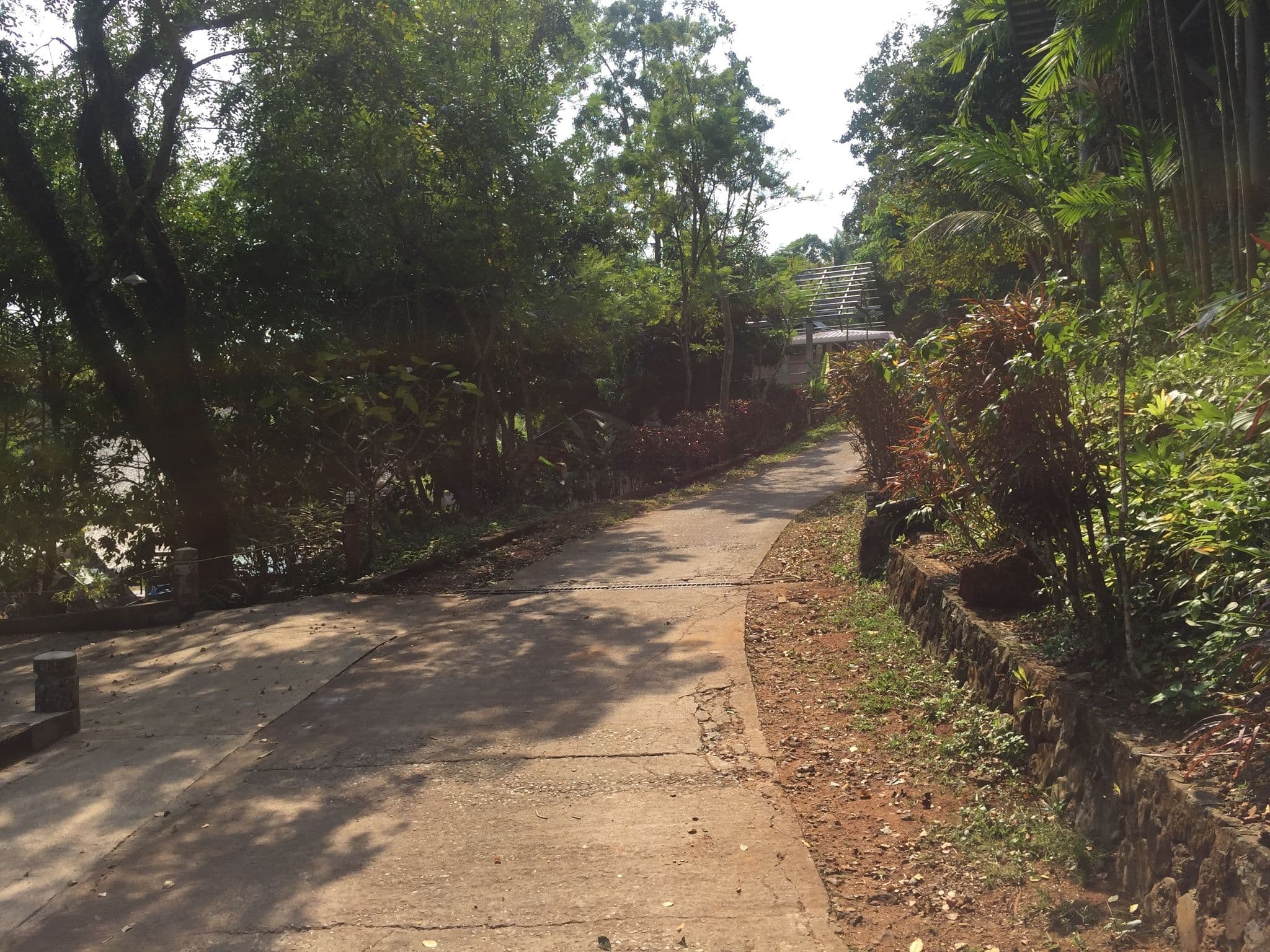 Street view near CoCoCape Resort, Ko Kood