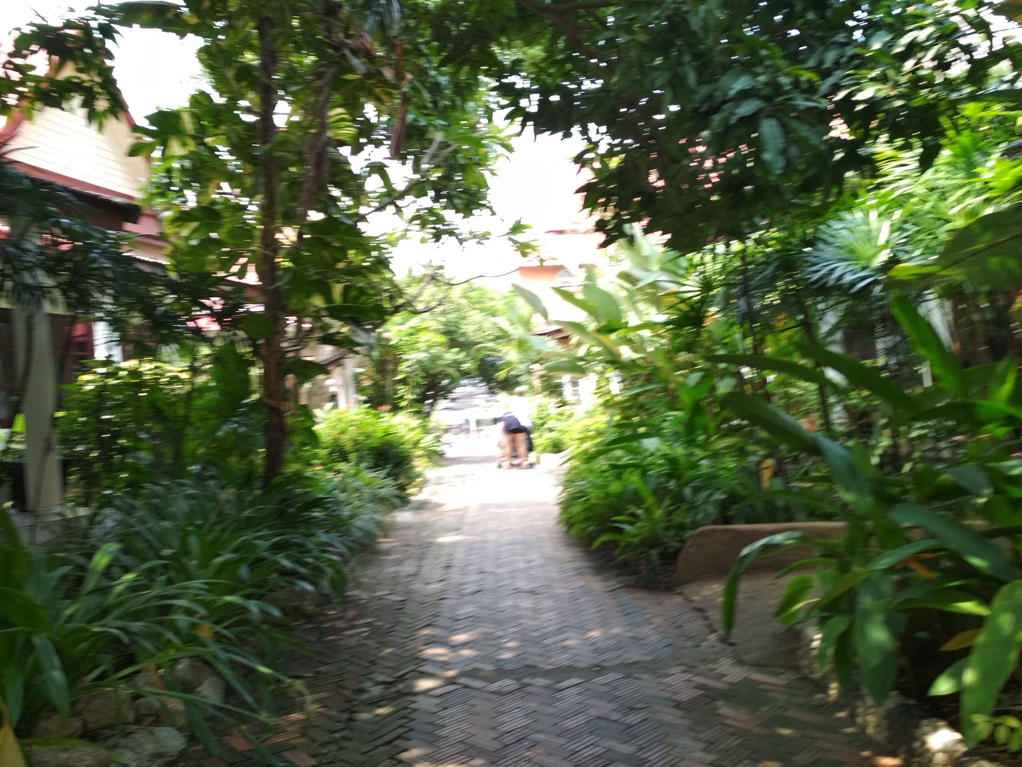 Street view near Chaweng Resort, Ko Samui — © amars (CC BY-SA · Mapillary)