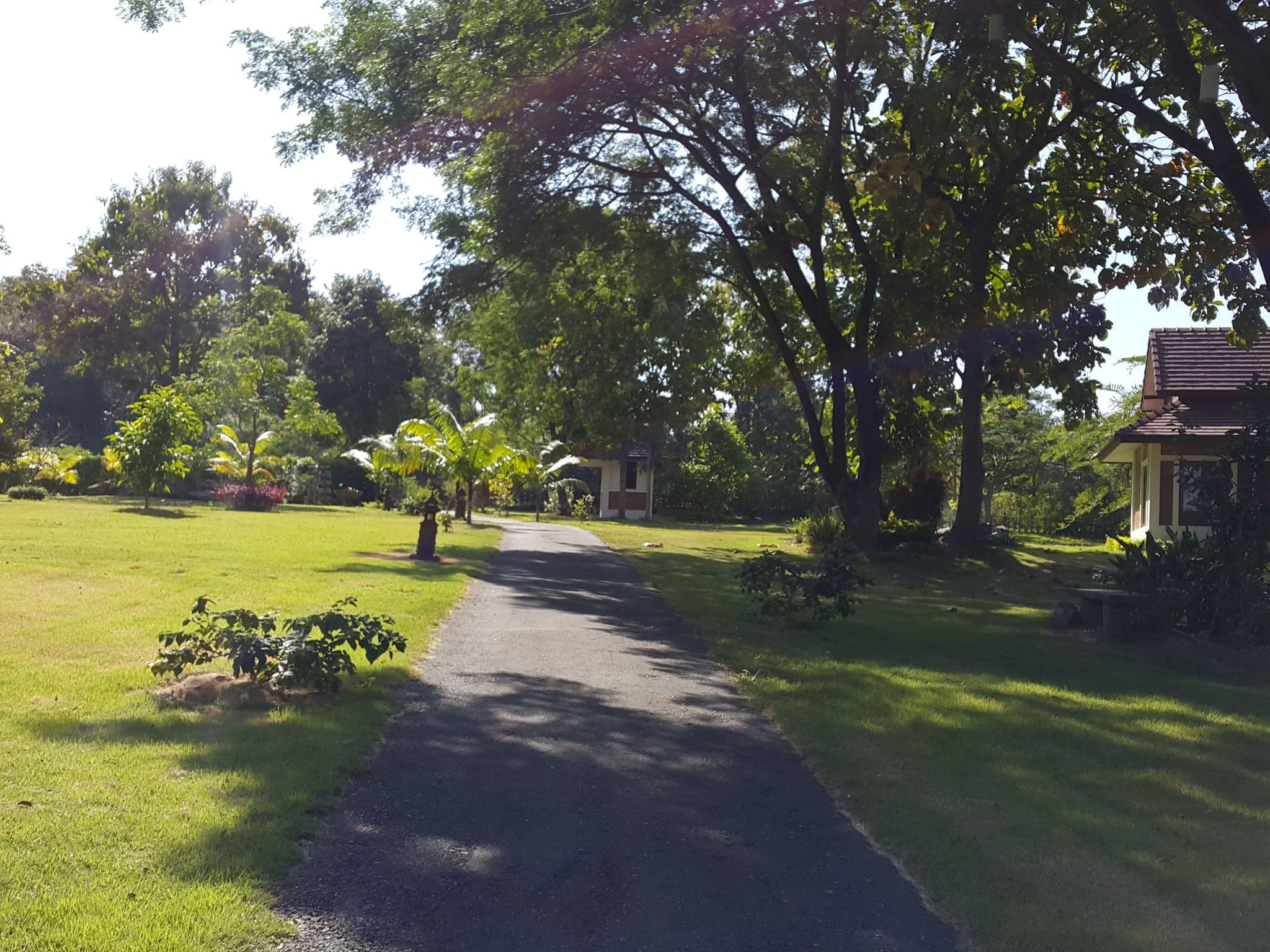 Street view near Papai Country Lodge, San Kamphaeng — © jrcarlsen (CC BY-SA · Mapillary)