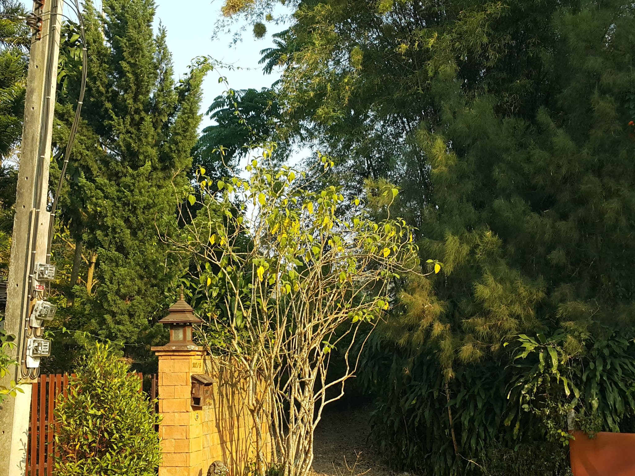 Street view near Baen Tong Bai, Chiang Mai