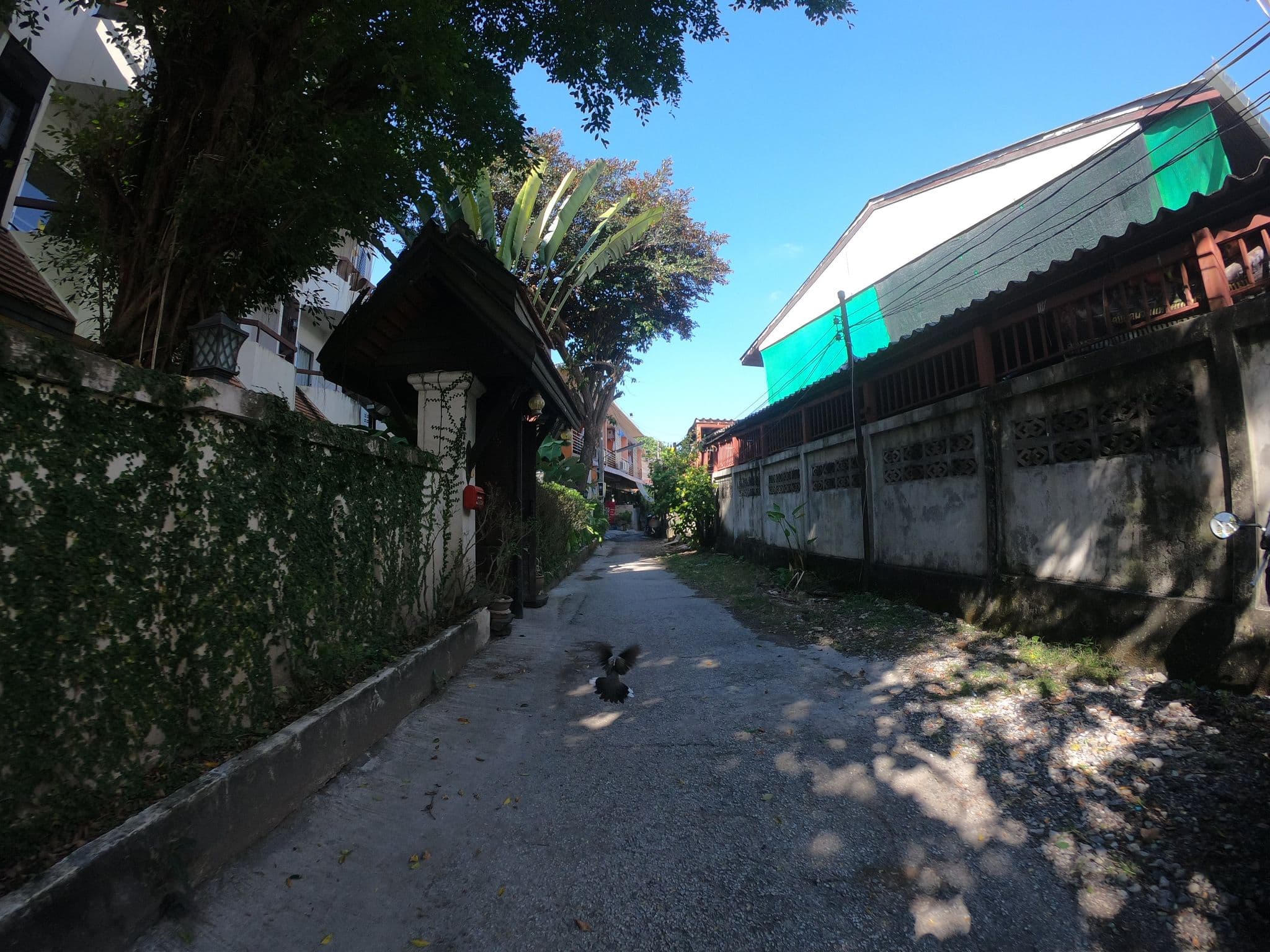 Street view near Elegant Lanna, Chiang Mai