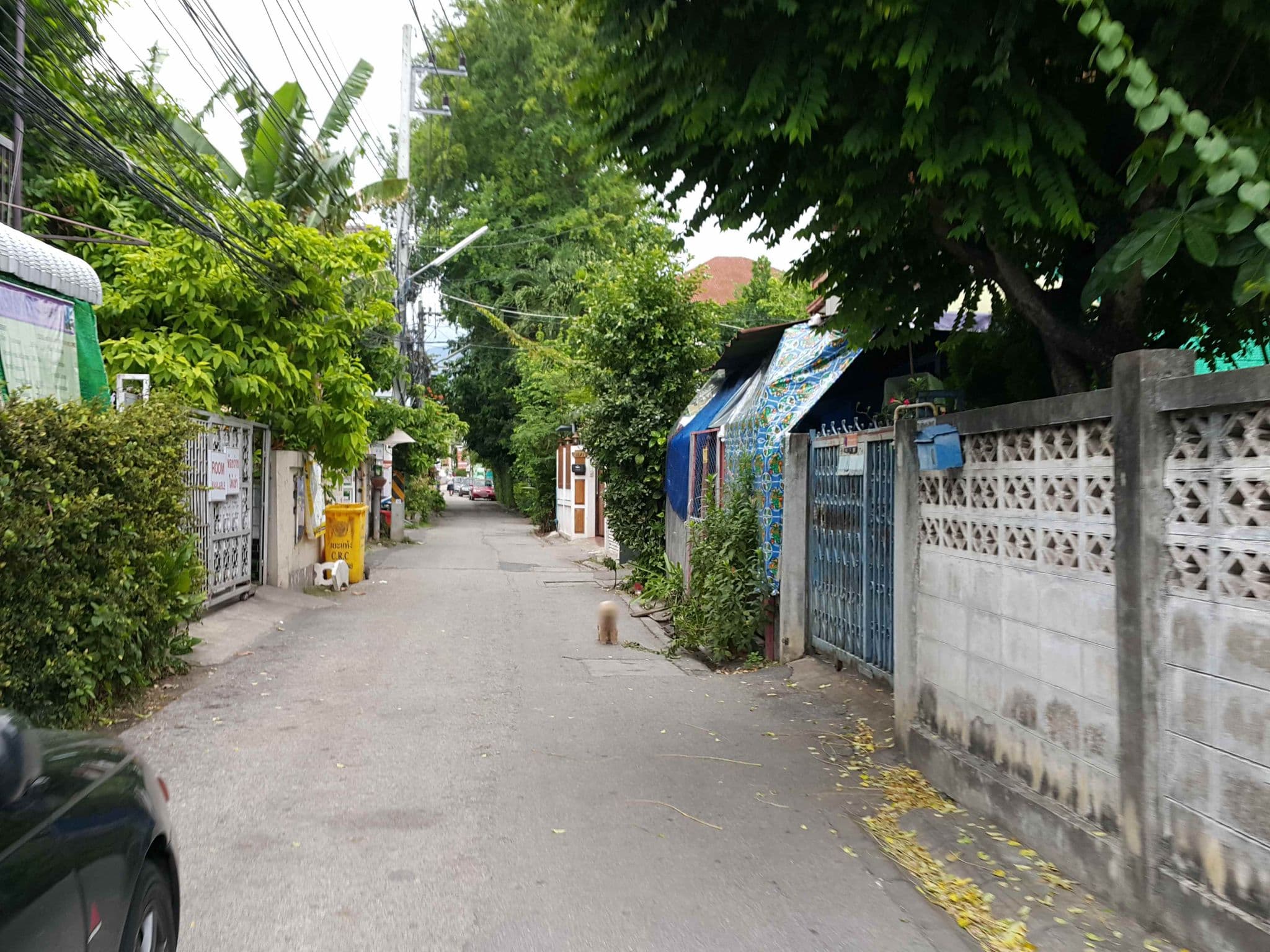 Street view near Kikie's House, Chiang Mai