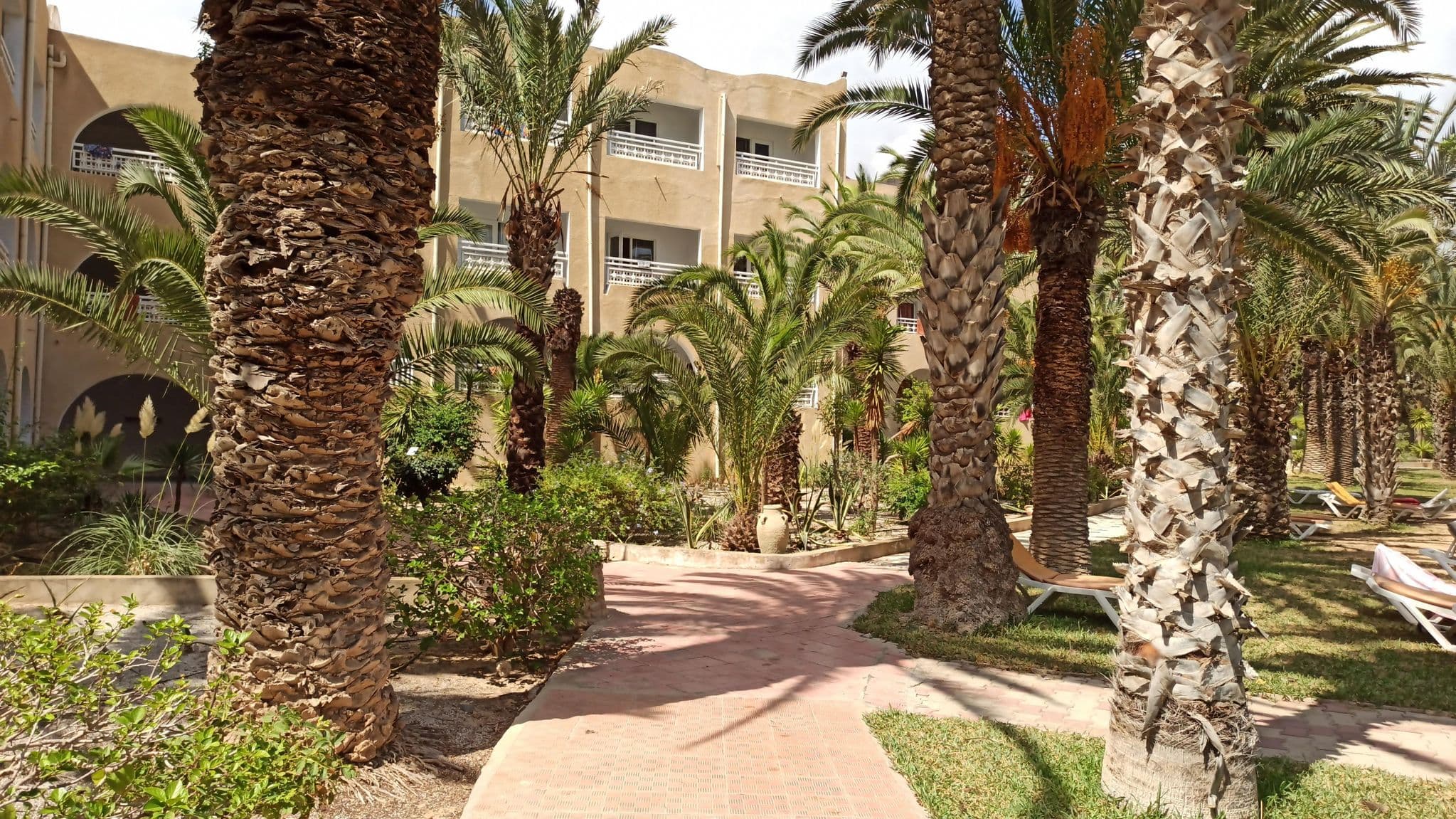 Street view near SENTIDO Aziza Beach, Hammamet