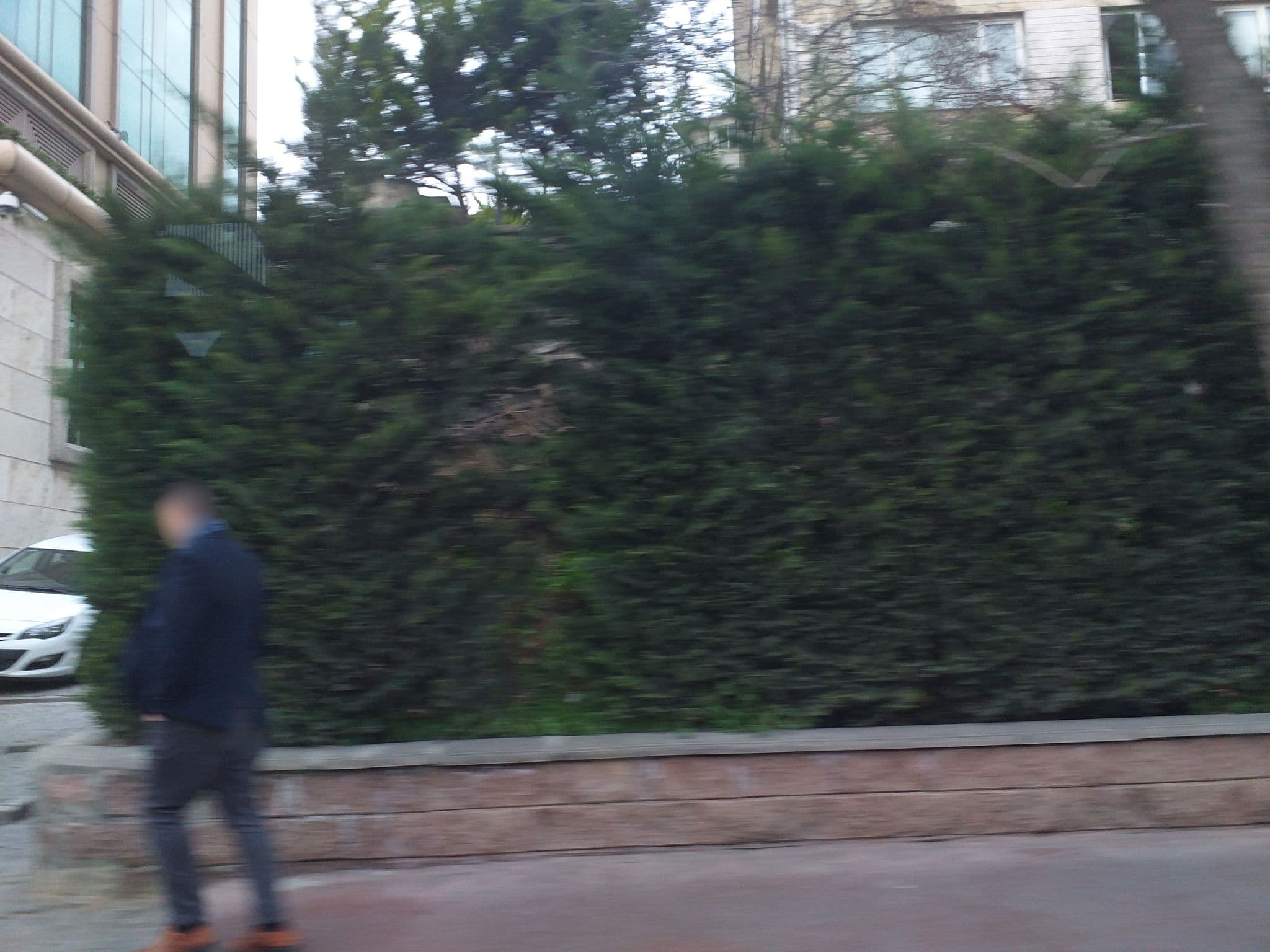 Street view near Renaissance Istanbul Polat Bosphorus Hotel, Yıldız — © mapman66 (CC BY-SA · Mapillary)