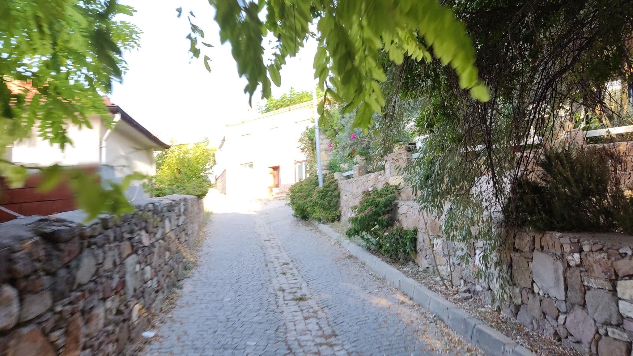 Street view near Umut Denizi Pansiyon, Bozcaada — © orkut (CC BY-SA · Mapillary)
