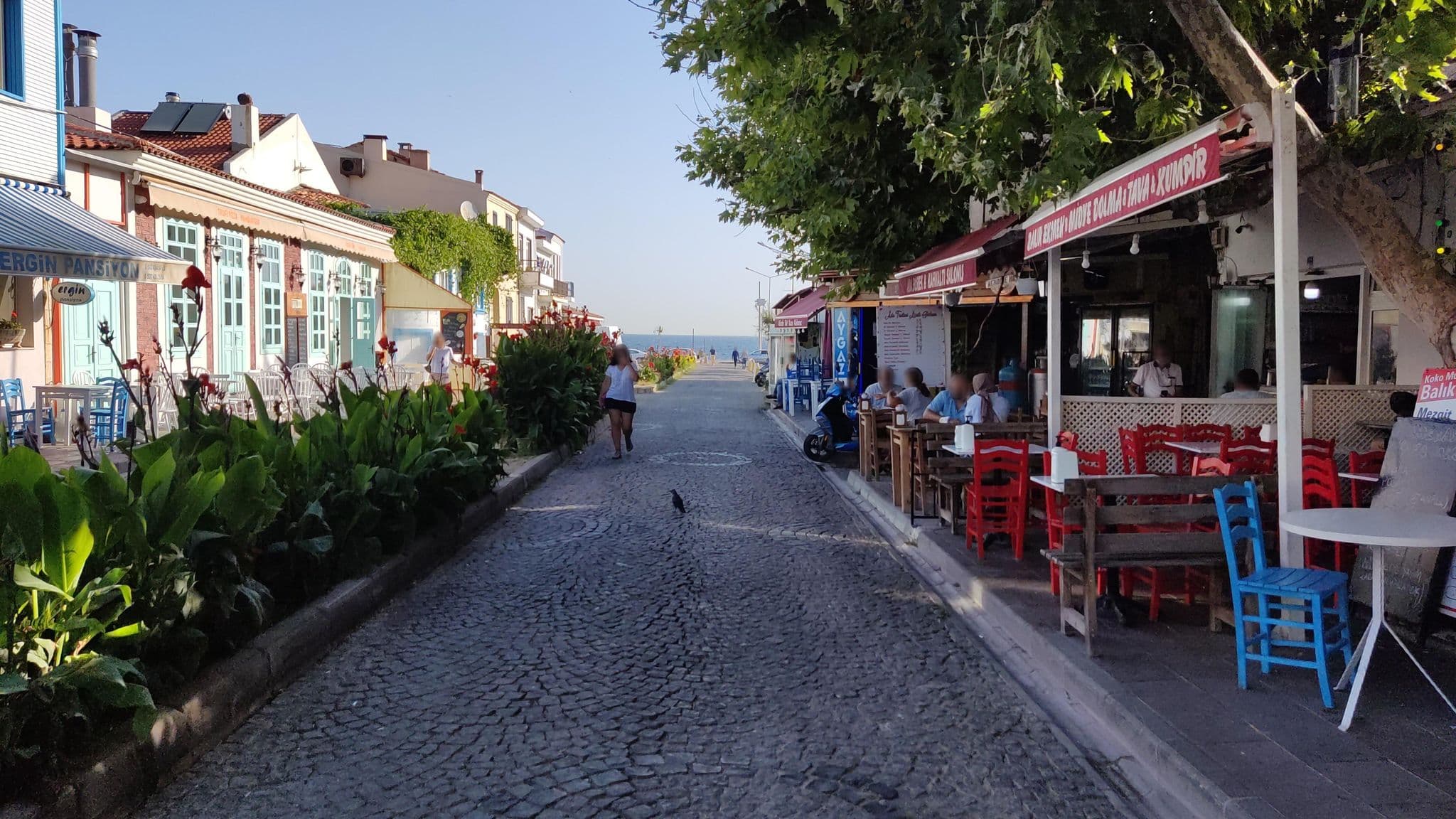 Street view near Ergin Pansiyon, Bozcaada — © orkut (CC BY-SA · Mapillary)