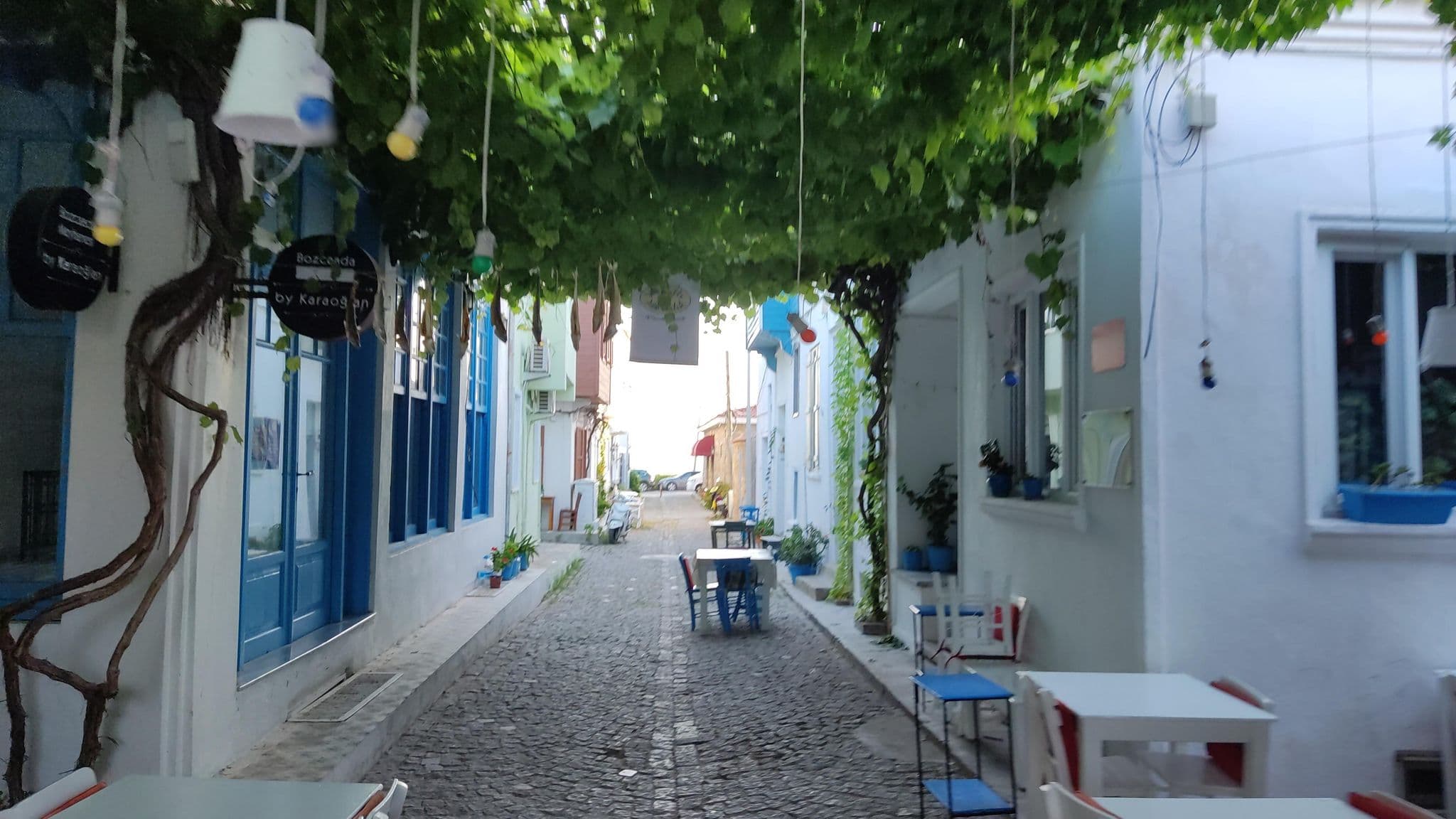 Street view near Albatros Otel, Bozcaada — © orkut (CC BY-SA · Mapillary)