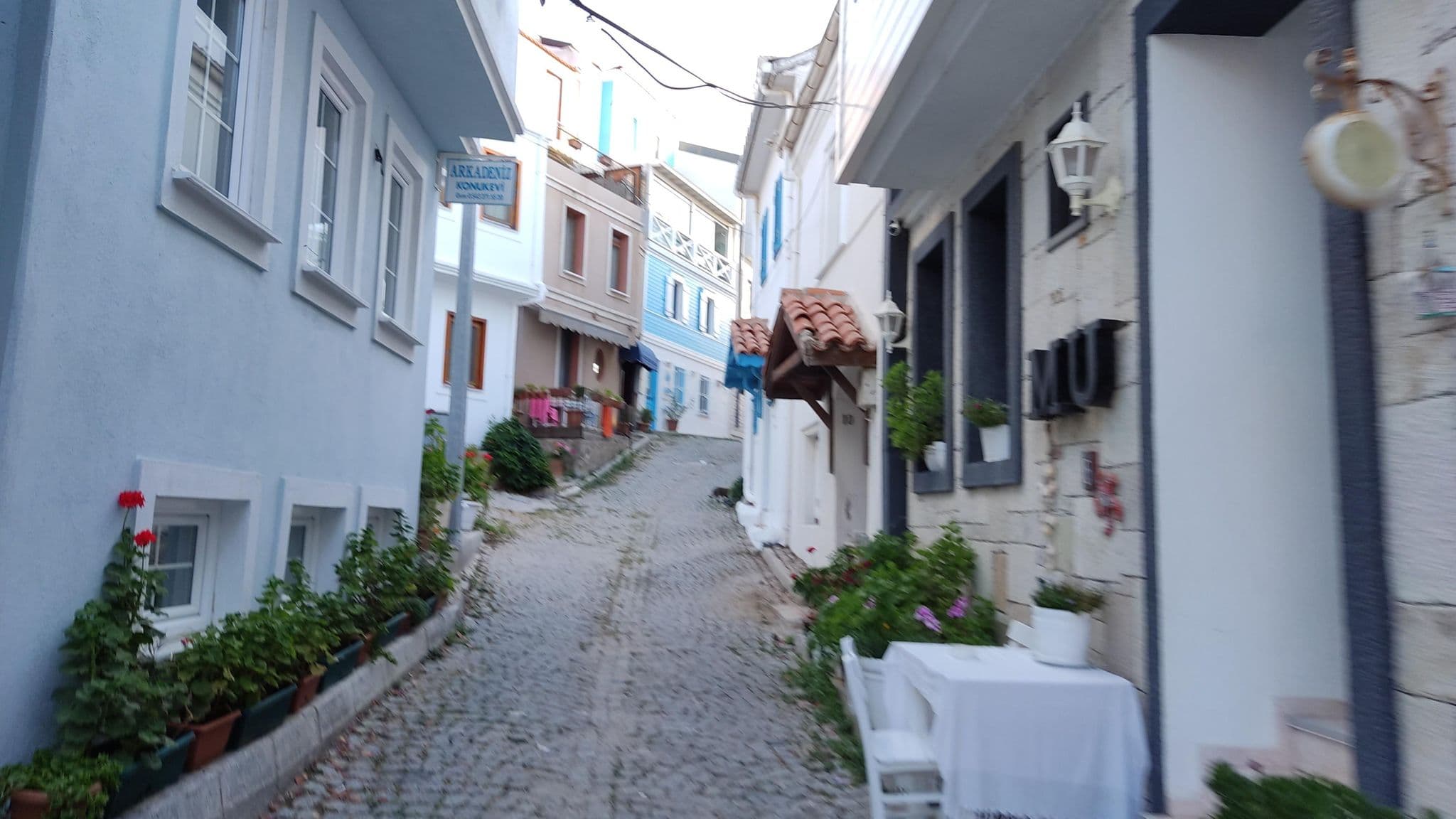 Street view near Ergin Pansiyon, Bozcaada — © orkut (CC BY-SA · Mapillary)