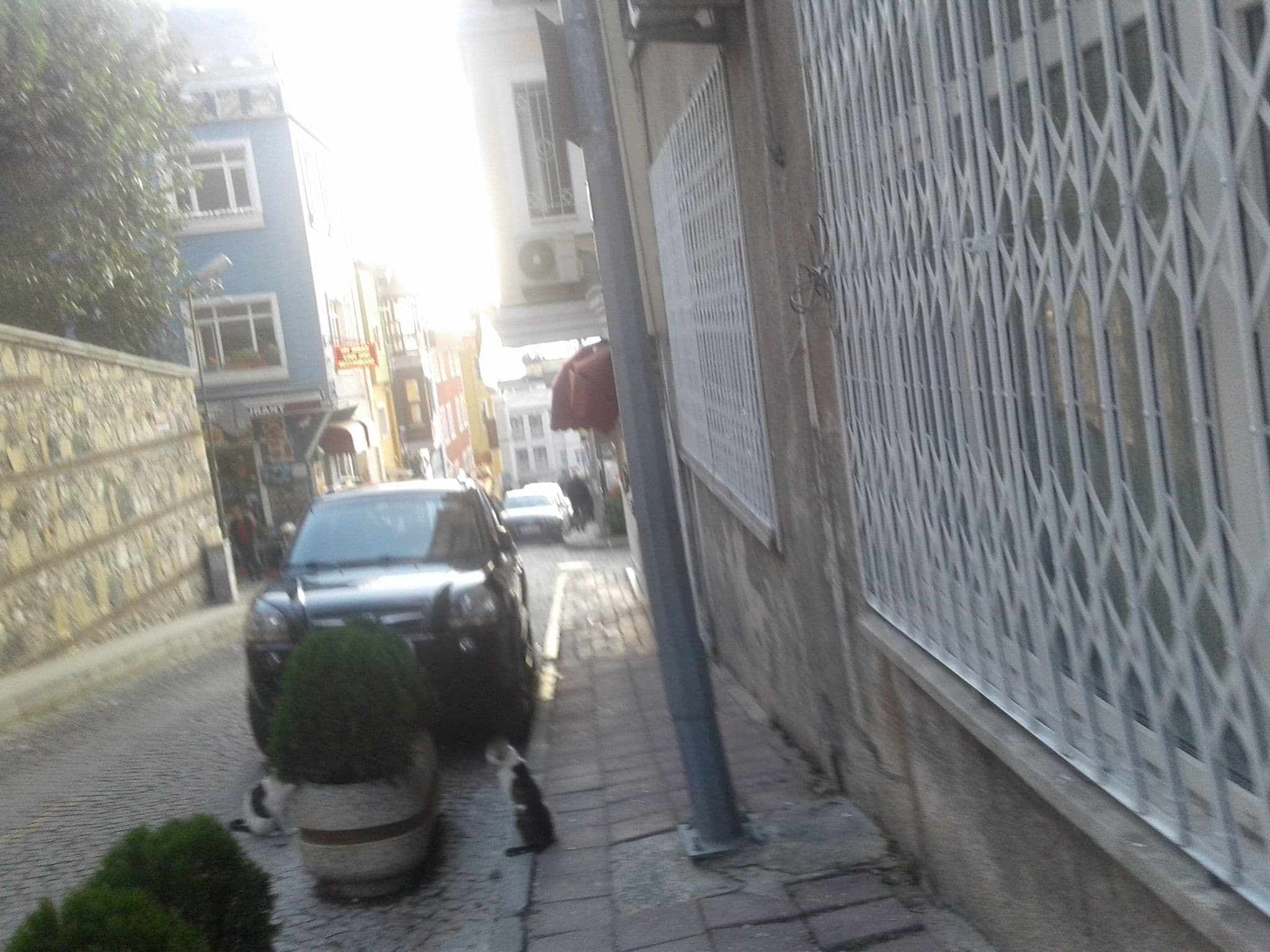Street view near Daphne hotel, Sultanahmet