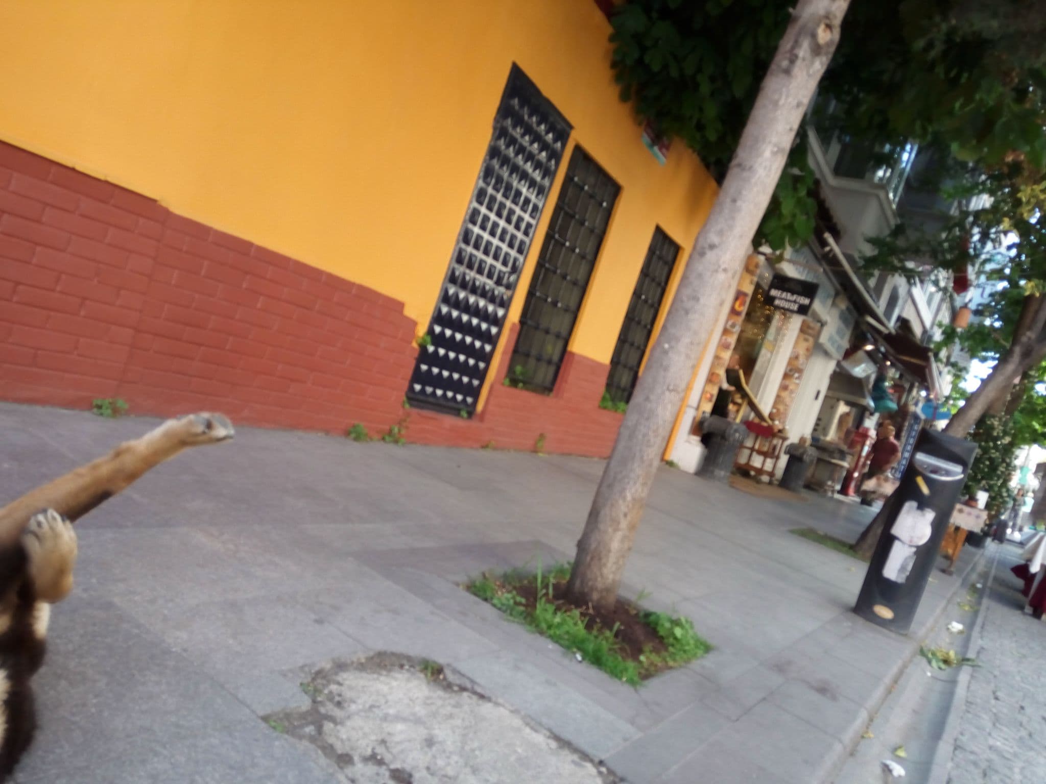 Street view near hotel antusa, Sultanahmet — © mapfool (CC BY-SA · Mapillary)