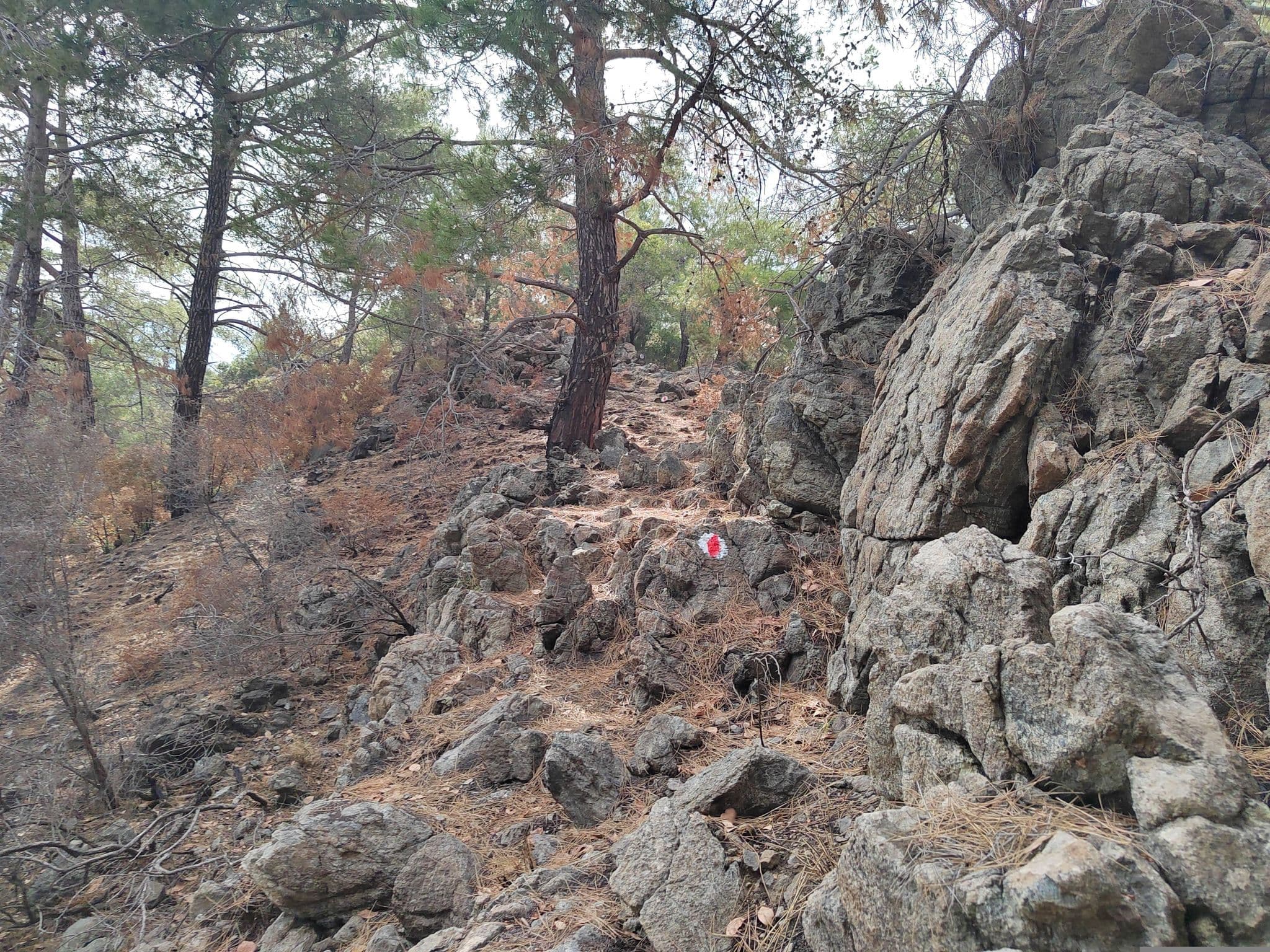 Street view near 1 tent, Kemer