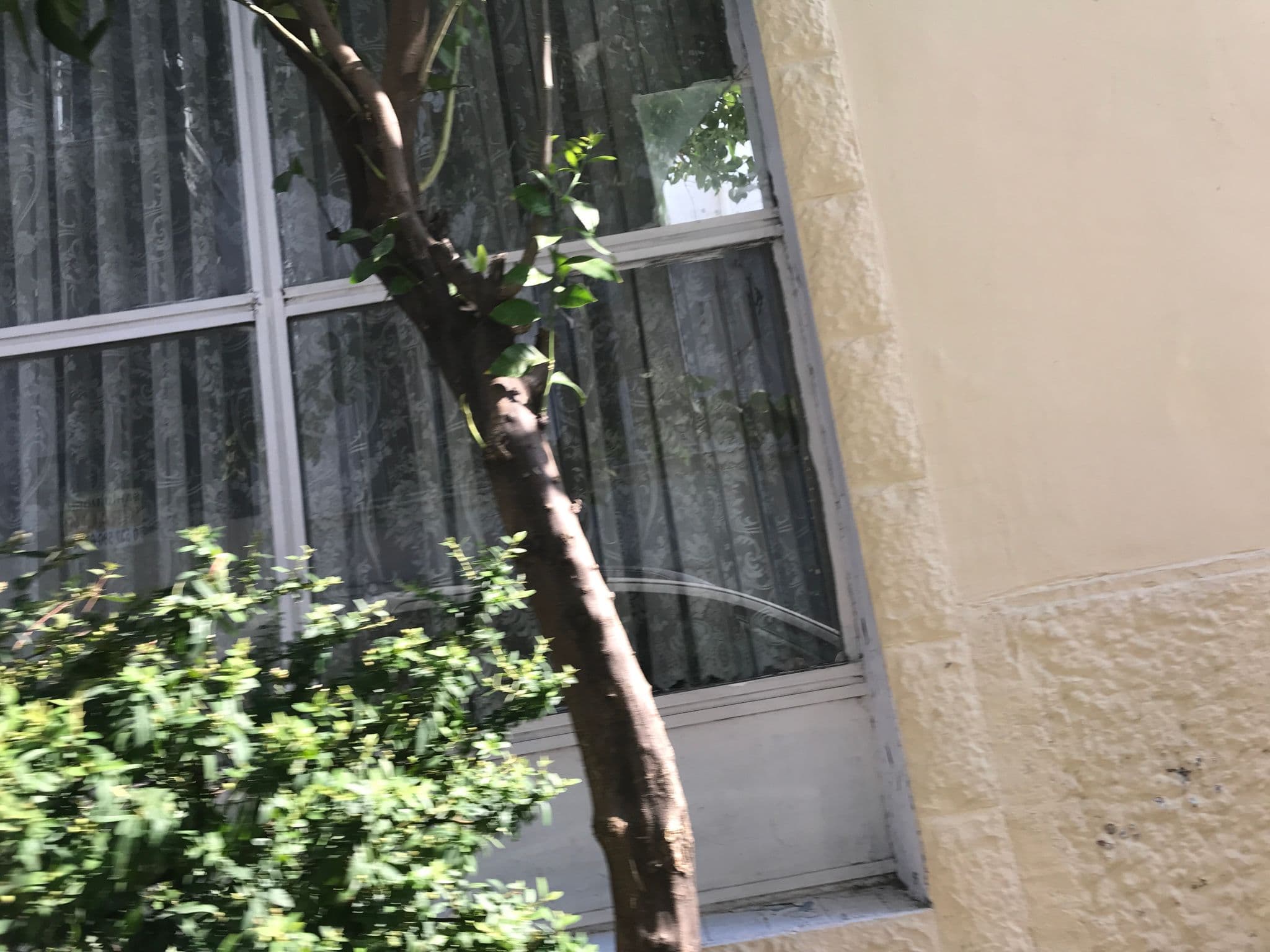 Street view near Otel Toros, İzmir — © hderinoz (CC BY-SA · Mapillary)