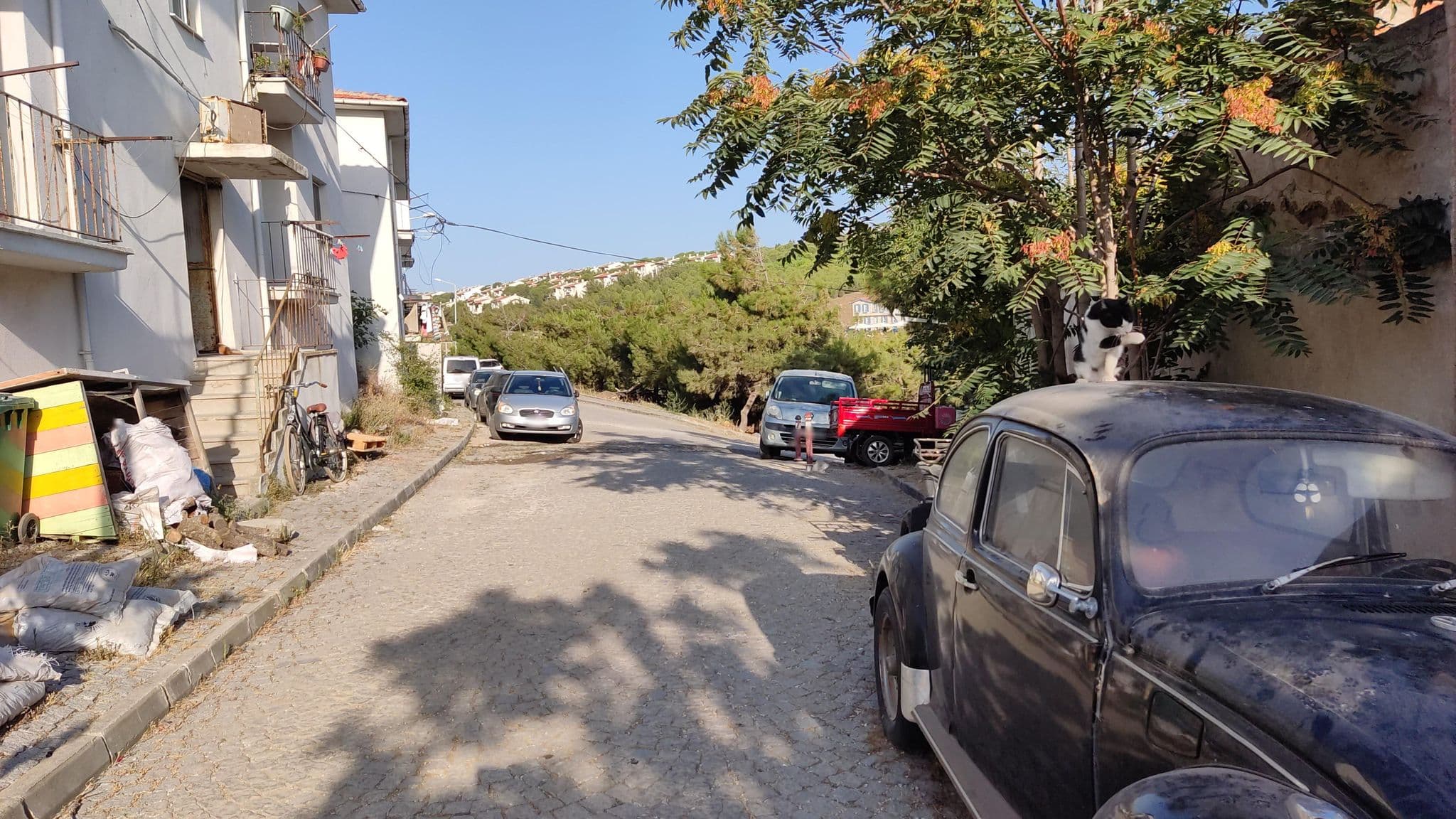 Street view near Belediye Lojmanları, Bozcaada — © orkut (CC BY-SA · Mapillary)