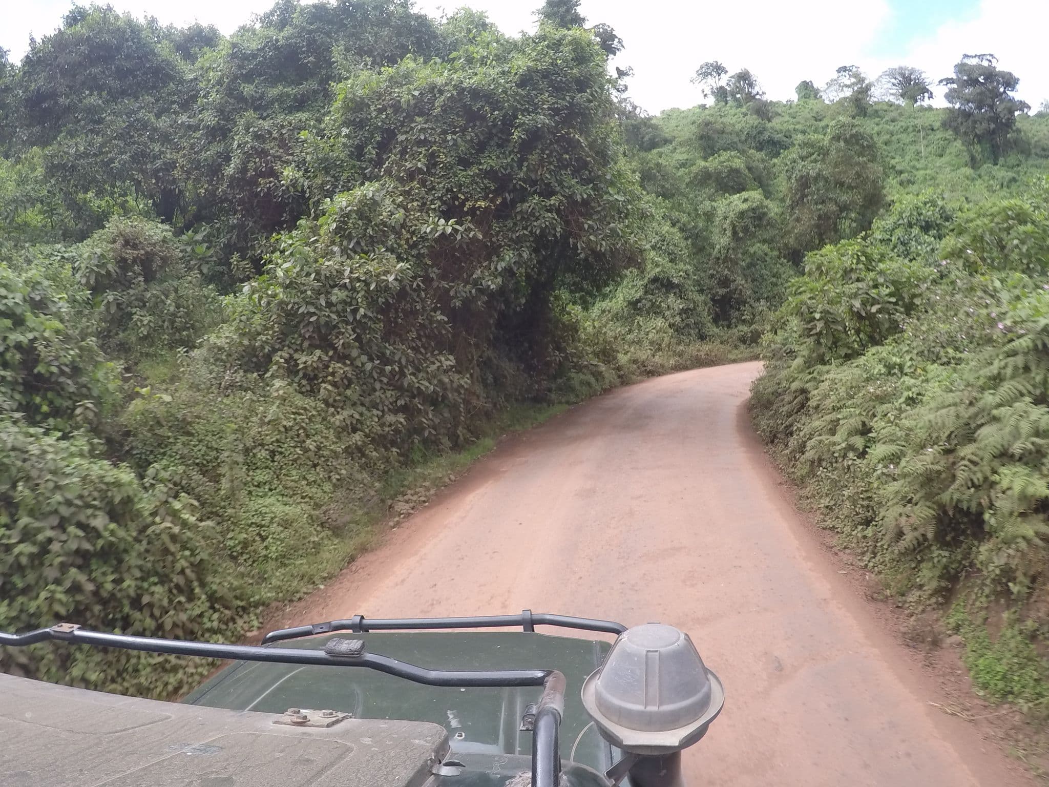 Street view near Eileen’s Trees Inn, Ngorongoro — © rkiselev (CC BY-SA · Mapillary)