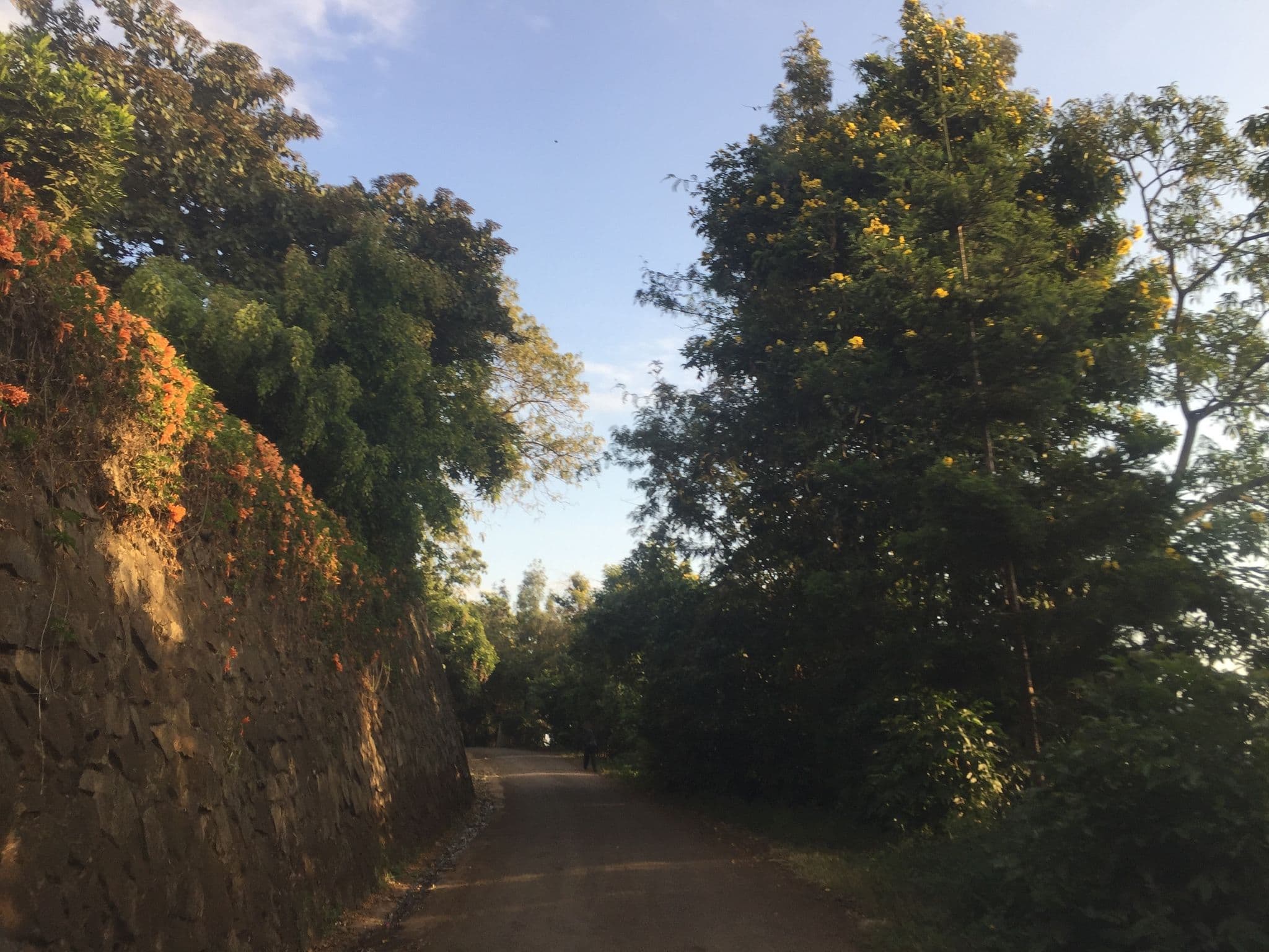 Street view near Machweo Wellness Retreat & Fine Dining, Arusha