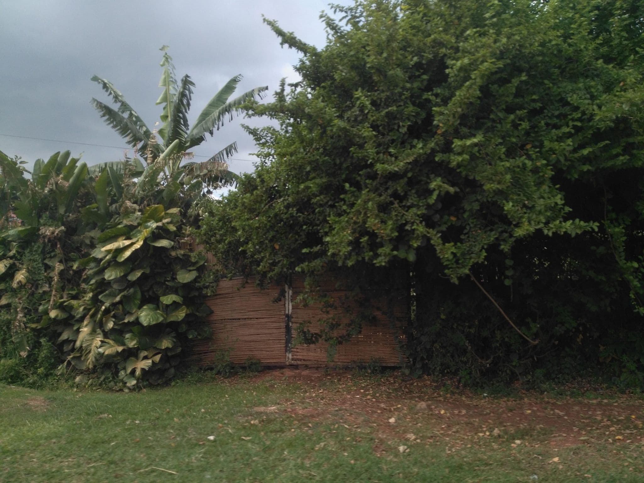 Street view near Gately on the Nile, Jinja — © ralebipim (CC BY-SA · Mapillary)