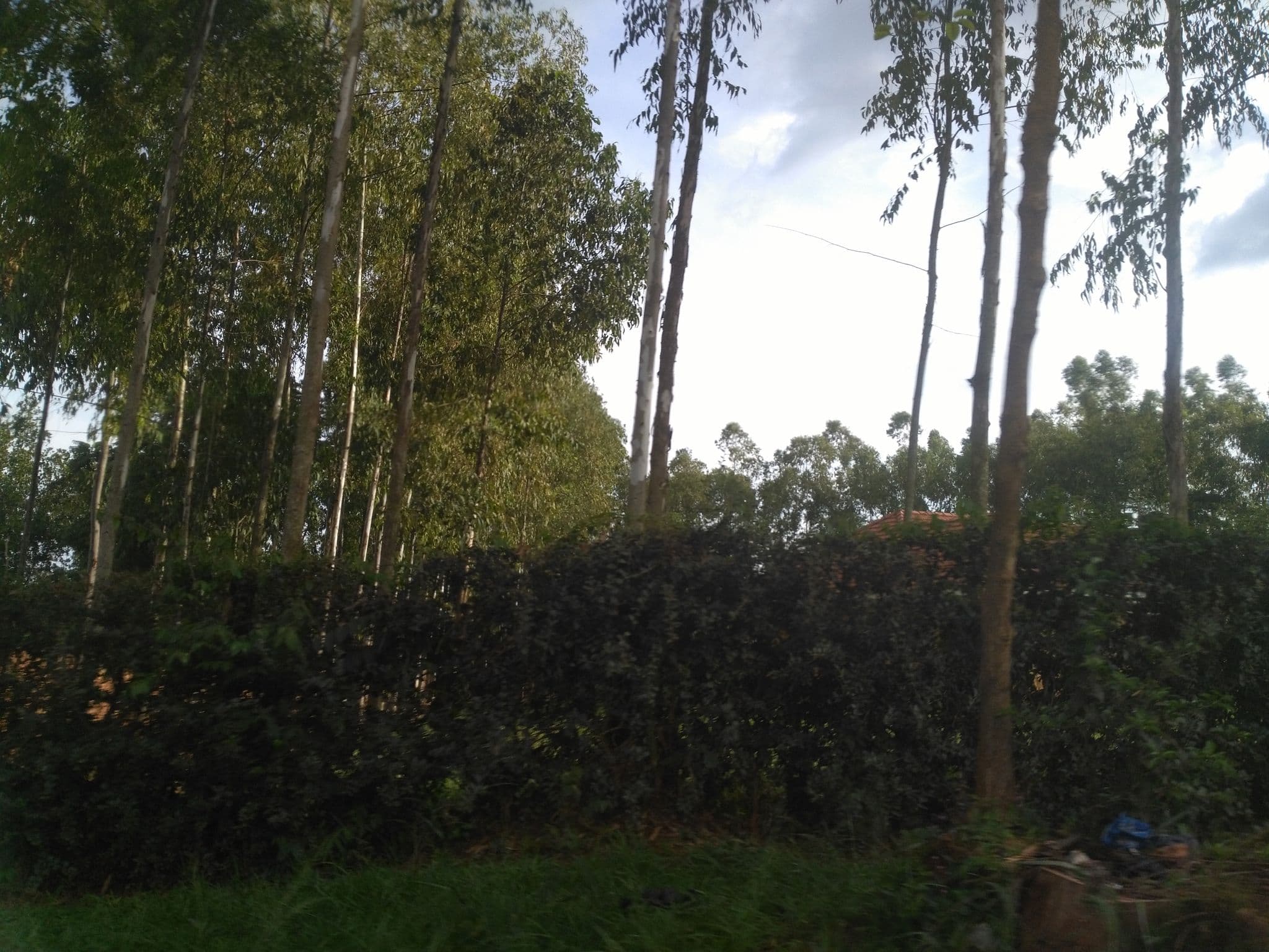 Street view near Camdy Hostel, Jinja — © ralebipim (CC BY-SA · Mapillary)