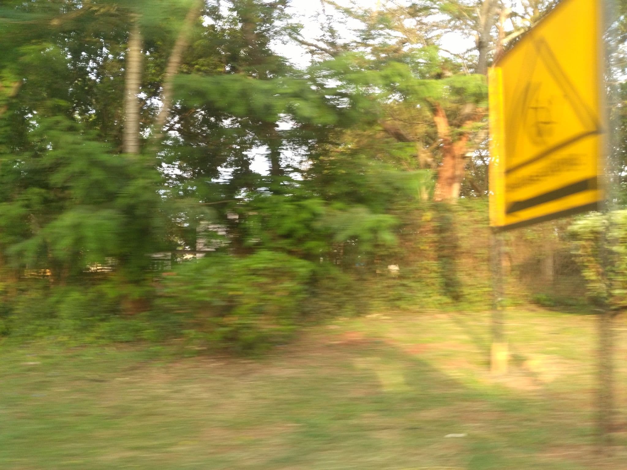 Street view near Nalubale Rafting, Jinja — © ralebipim (CC BY-SA · Mapillary)