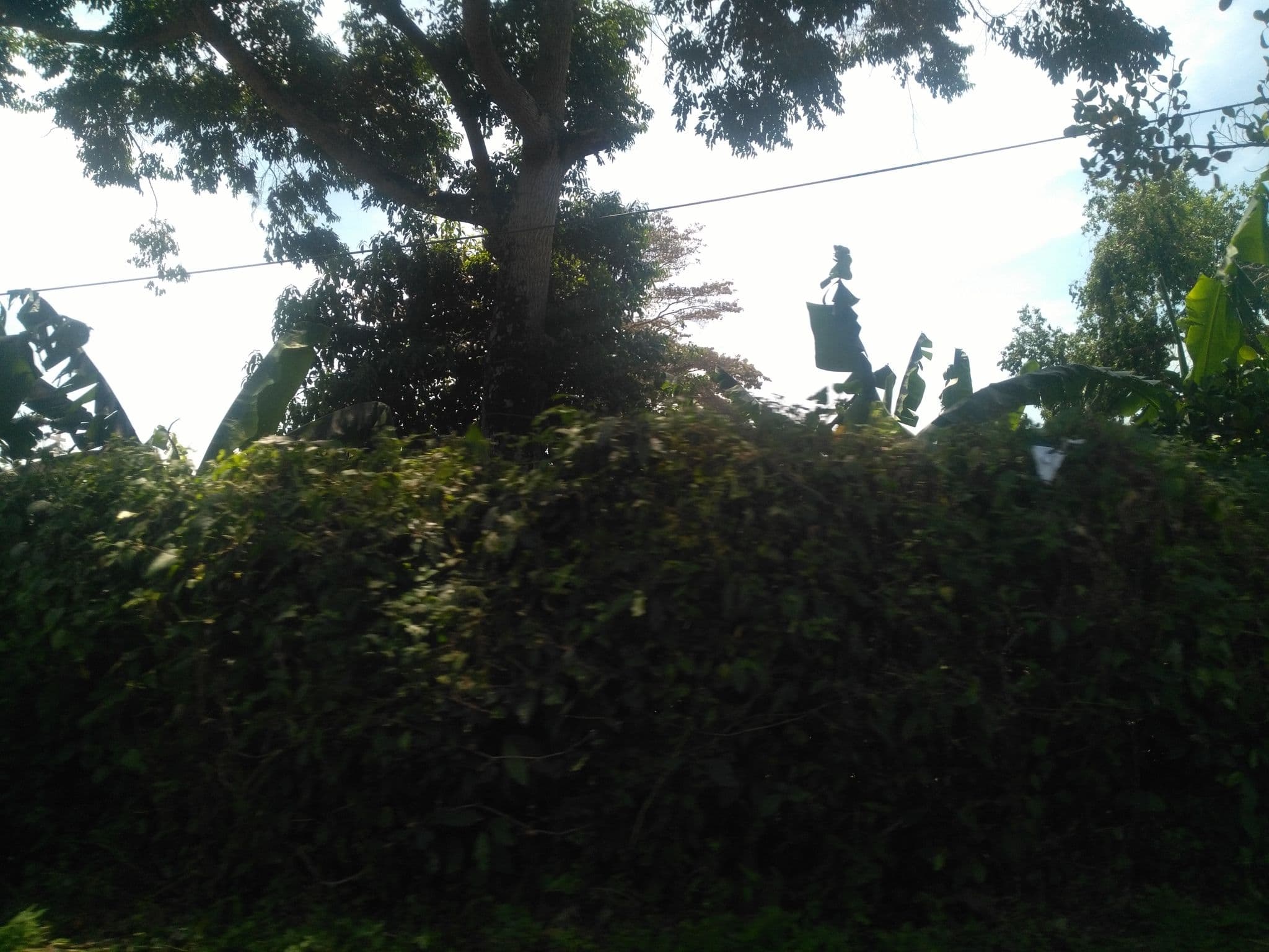 Street view near Green Valley Guesthouse & Backpackers, Entebbe — © ralebipim (CC BY-SA · Mapillary)