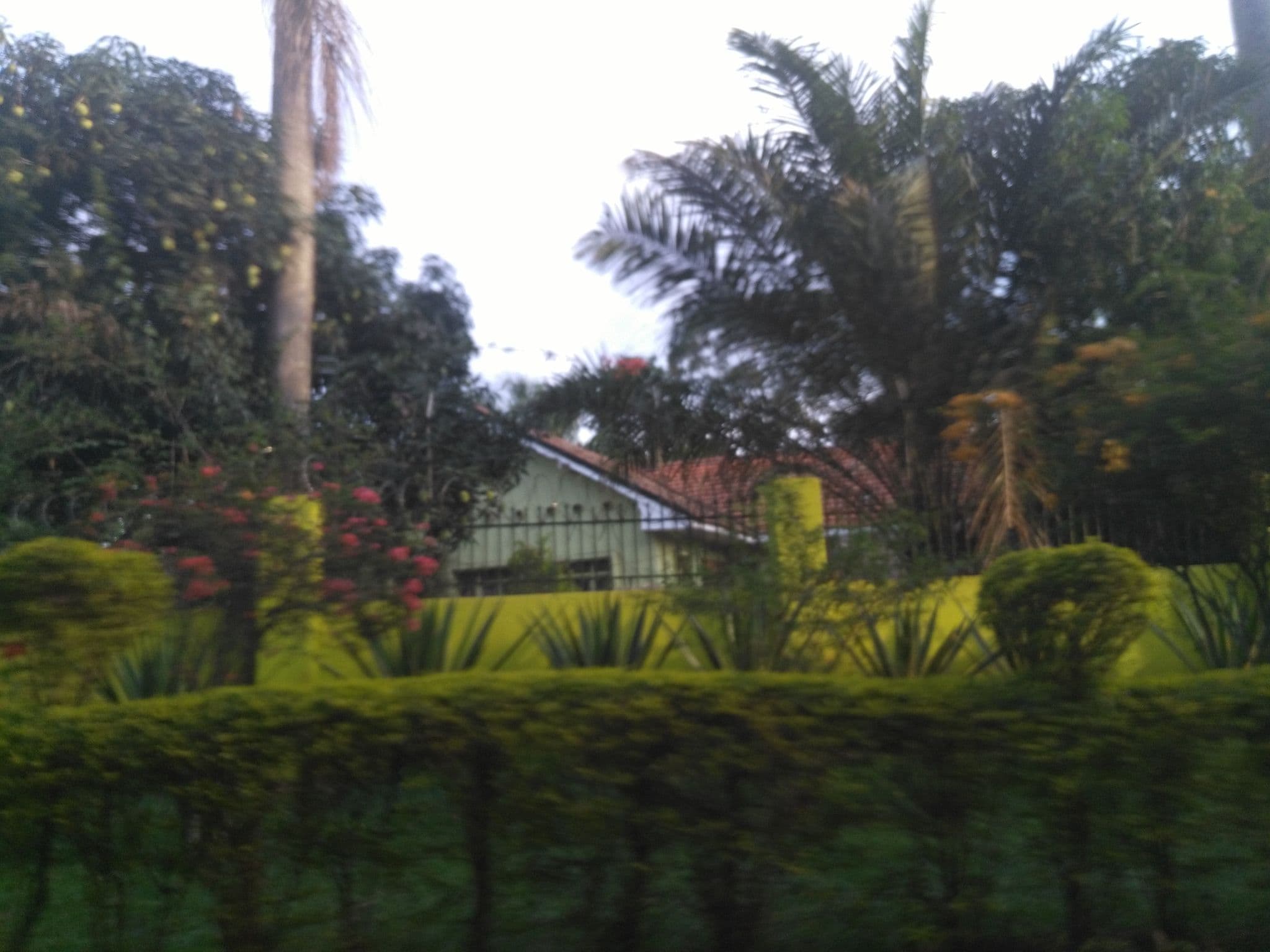 Street view near Afro smile, Jinja — © ralebipim (CC BY-SA · Mapillary)