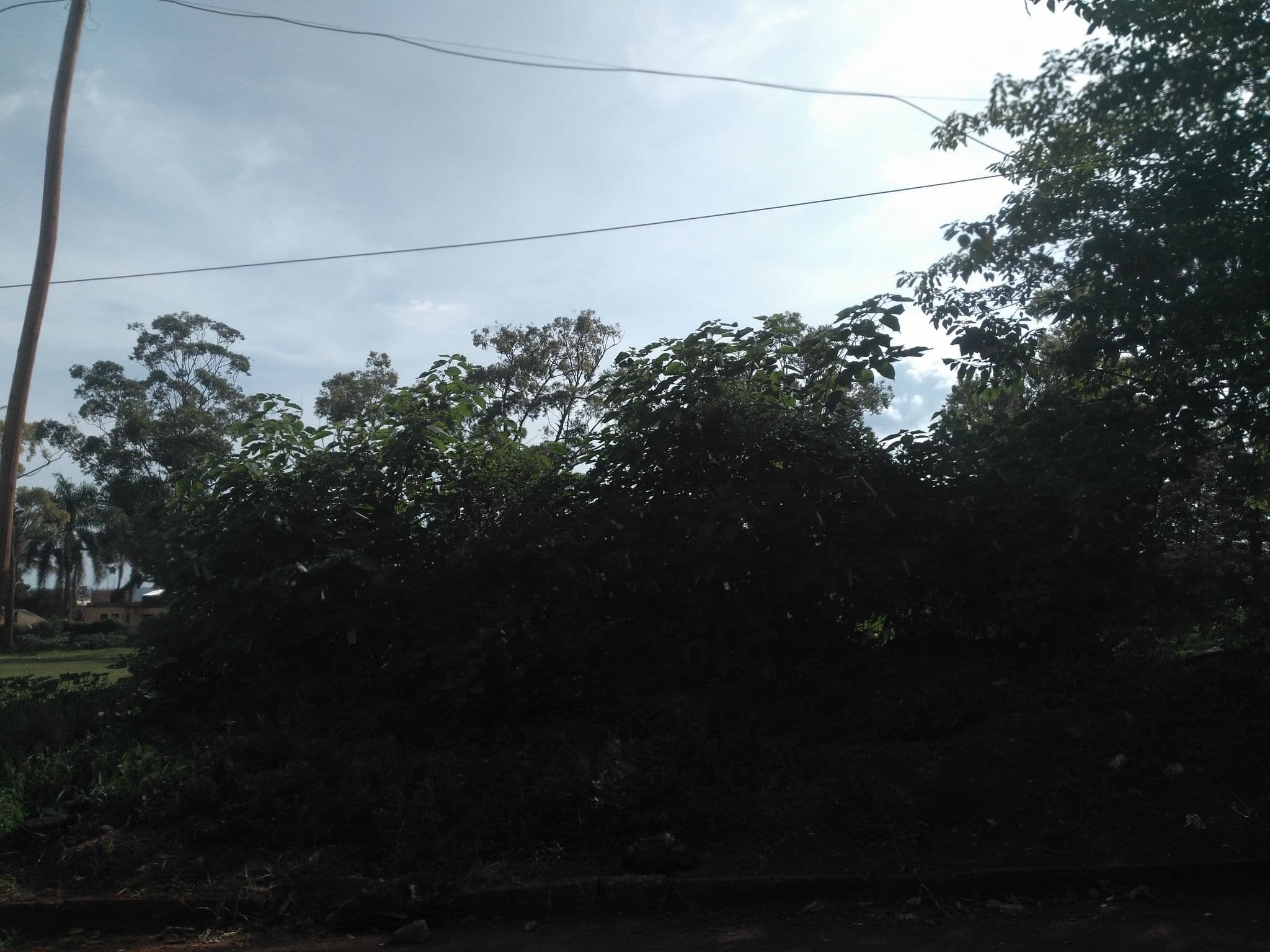 Street view near Cloud Guest House, Jinja — © ralebipim (CC BY-SA · Mapillary)