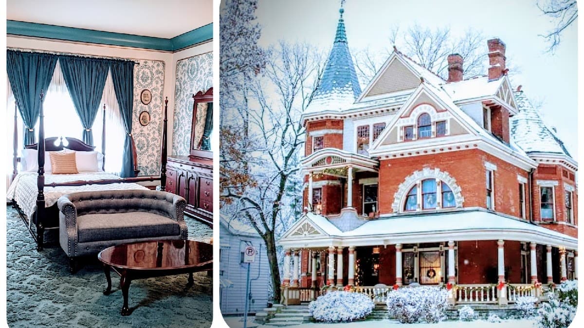 The Benninghofen House, Guesthouse in Hamilton