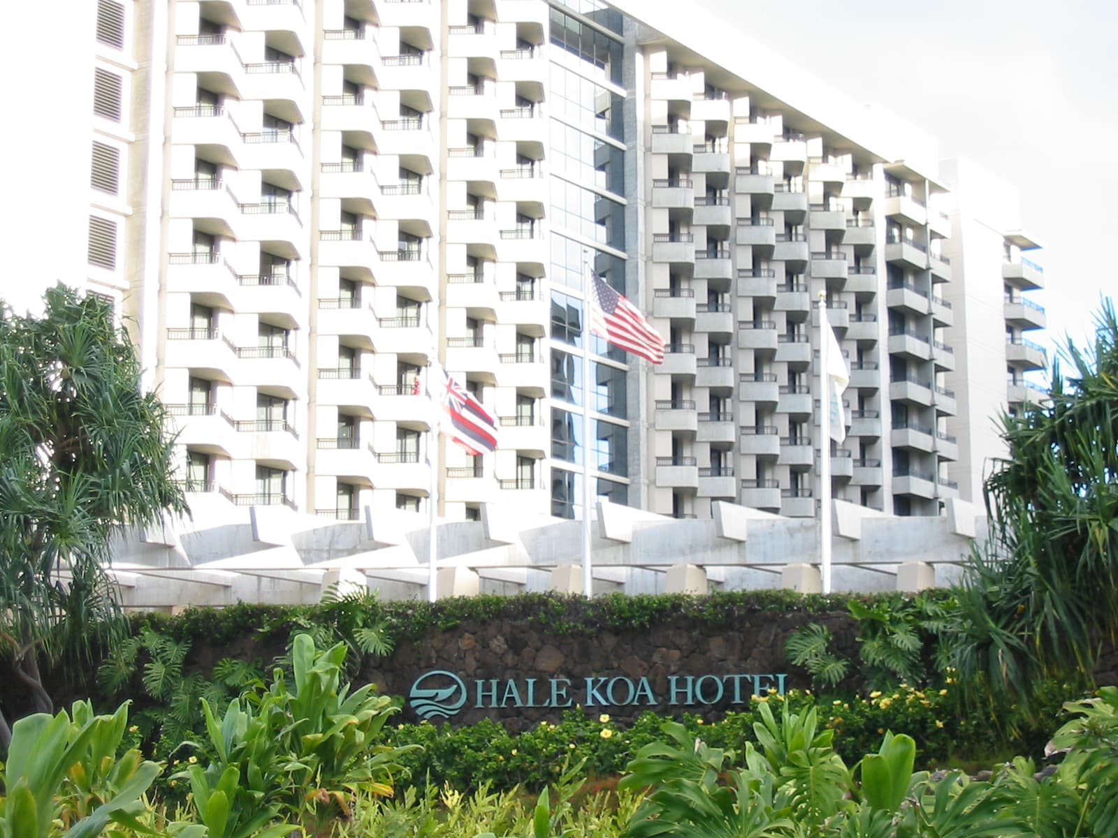 Hale Koa (via Wikimedia Commons, CC BY-SA 2.5)