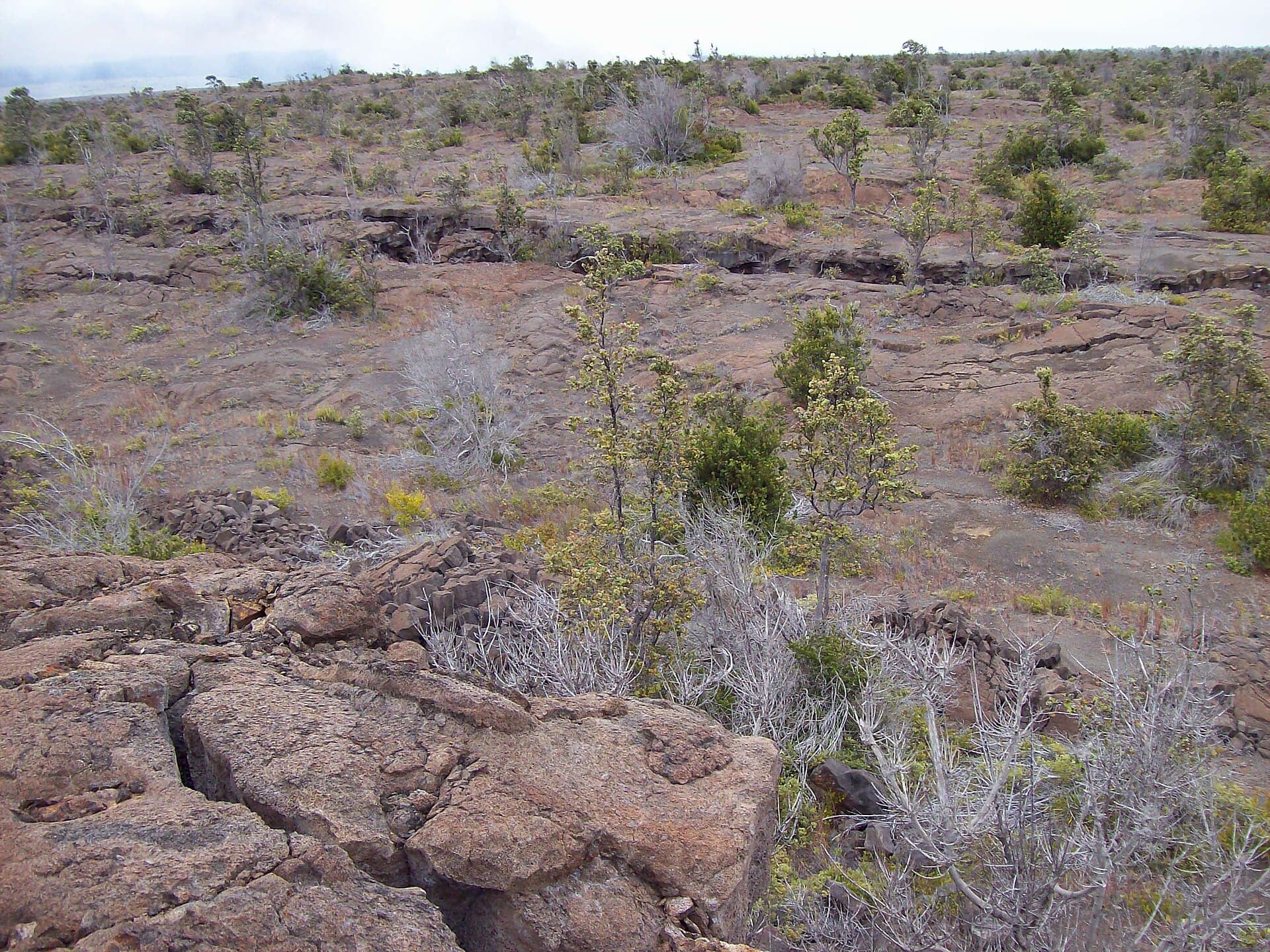 Kulanaokuaiki Campground (via Wikimedia Commons, CC BY-SA 3.0)