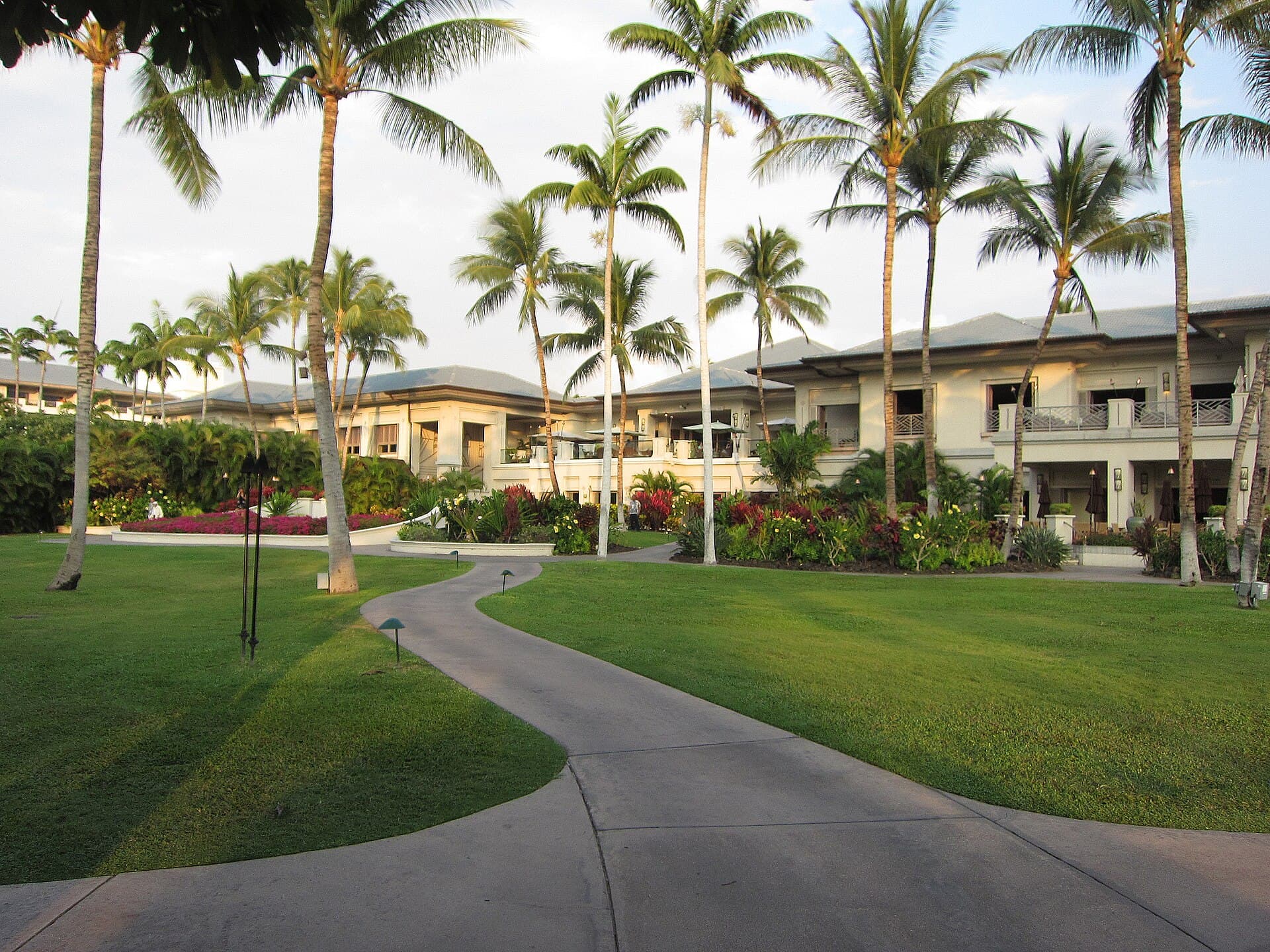 Fairmont Orchid (via Wikimedia Commons, CC BY 2.0)