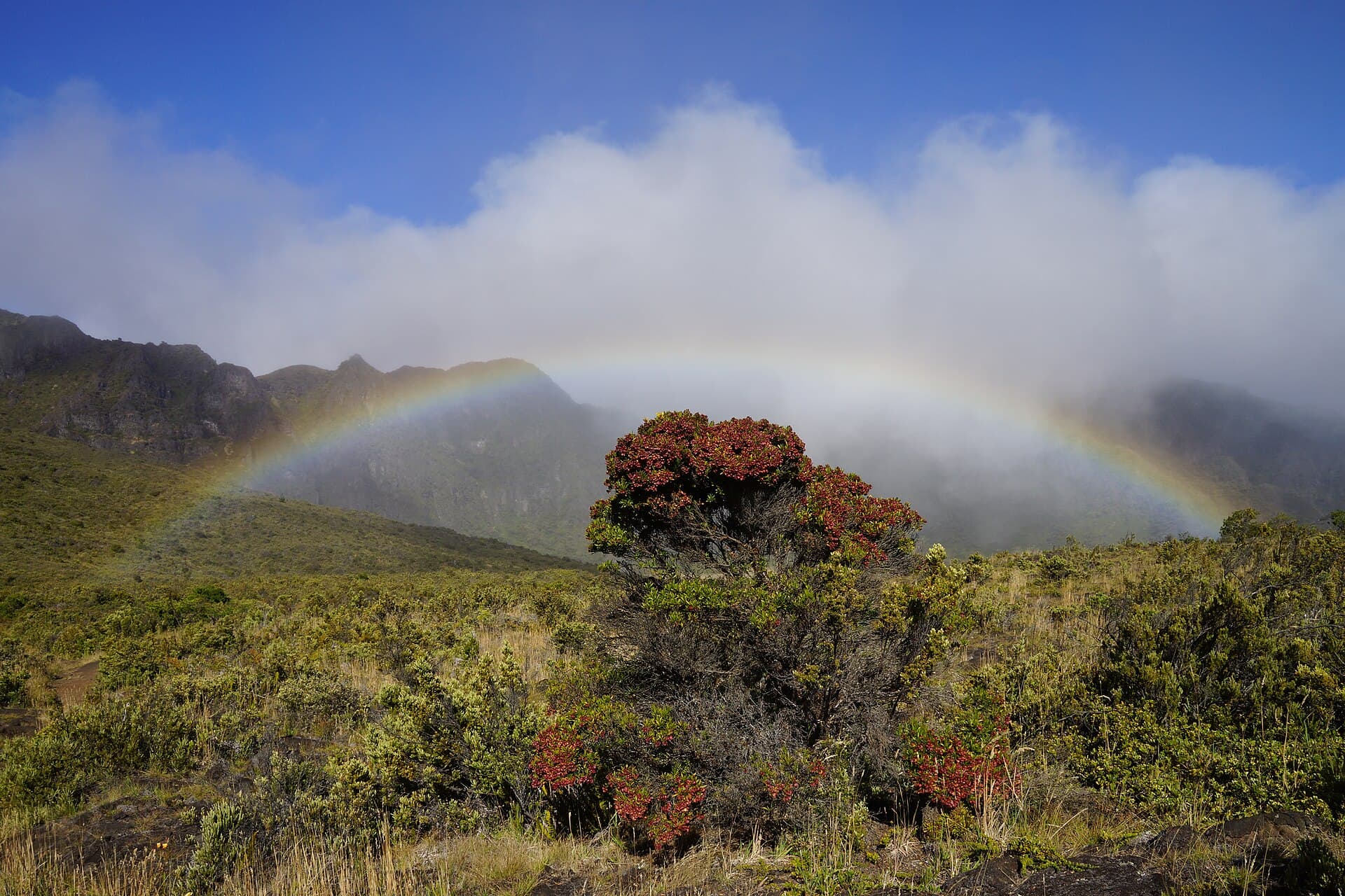 Palikū Campground (via Wikimedia Commons, CC0)