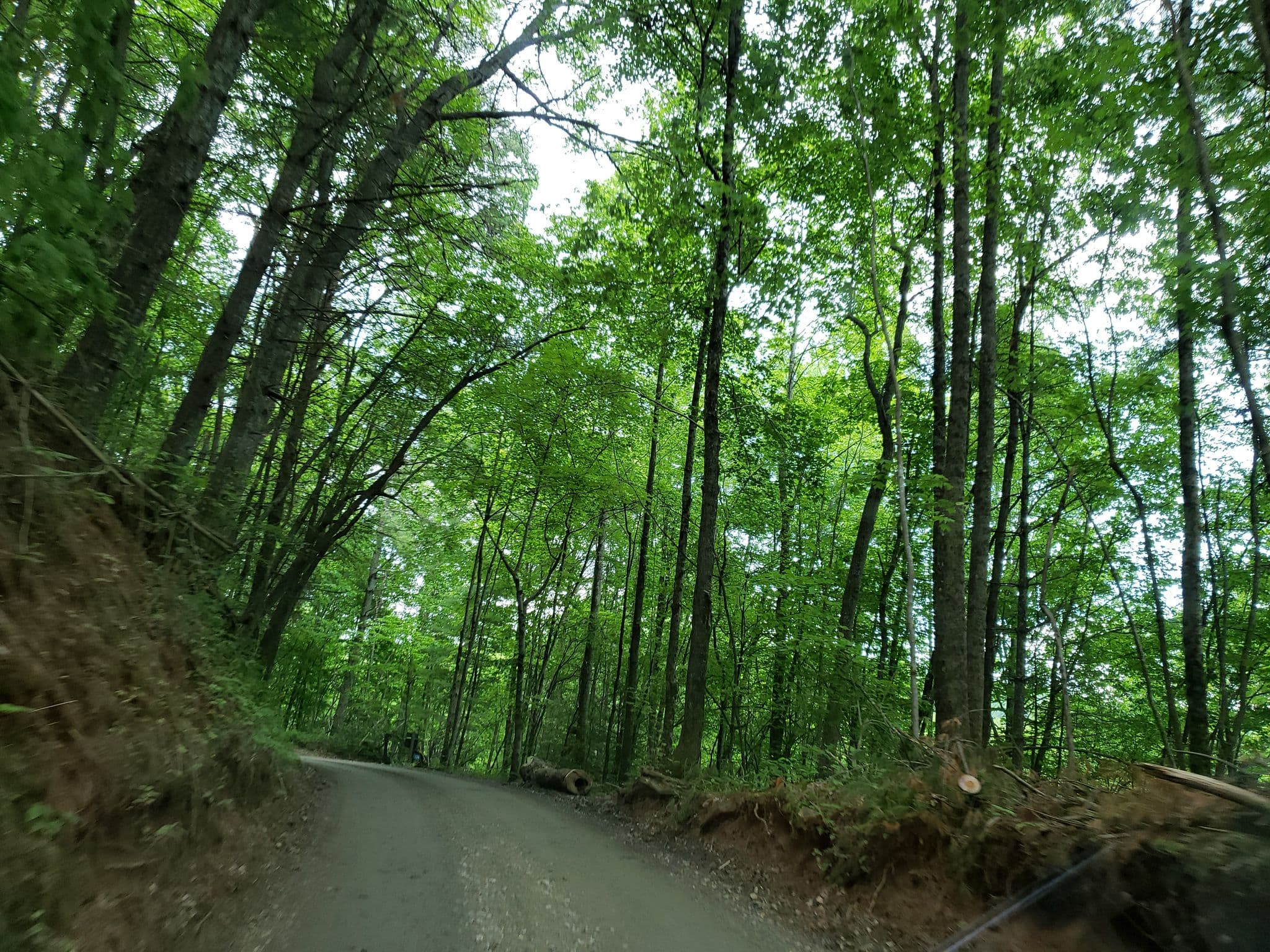 Street view near Bear Creek Hideaway, McCaysville — © jackdripper (CC BY-SA · Mapillary)