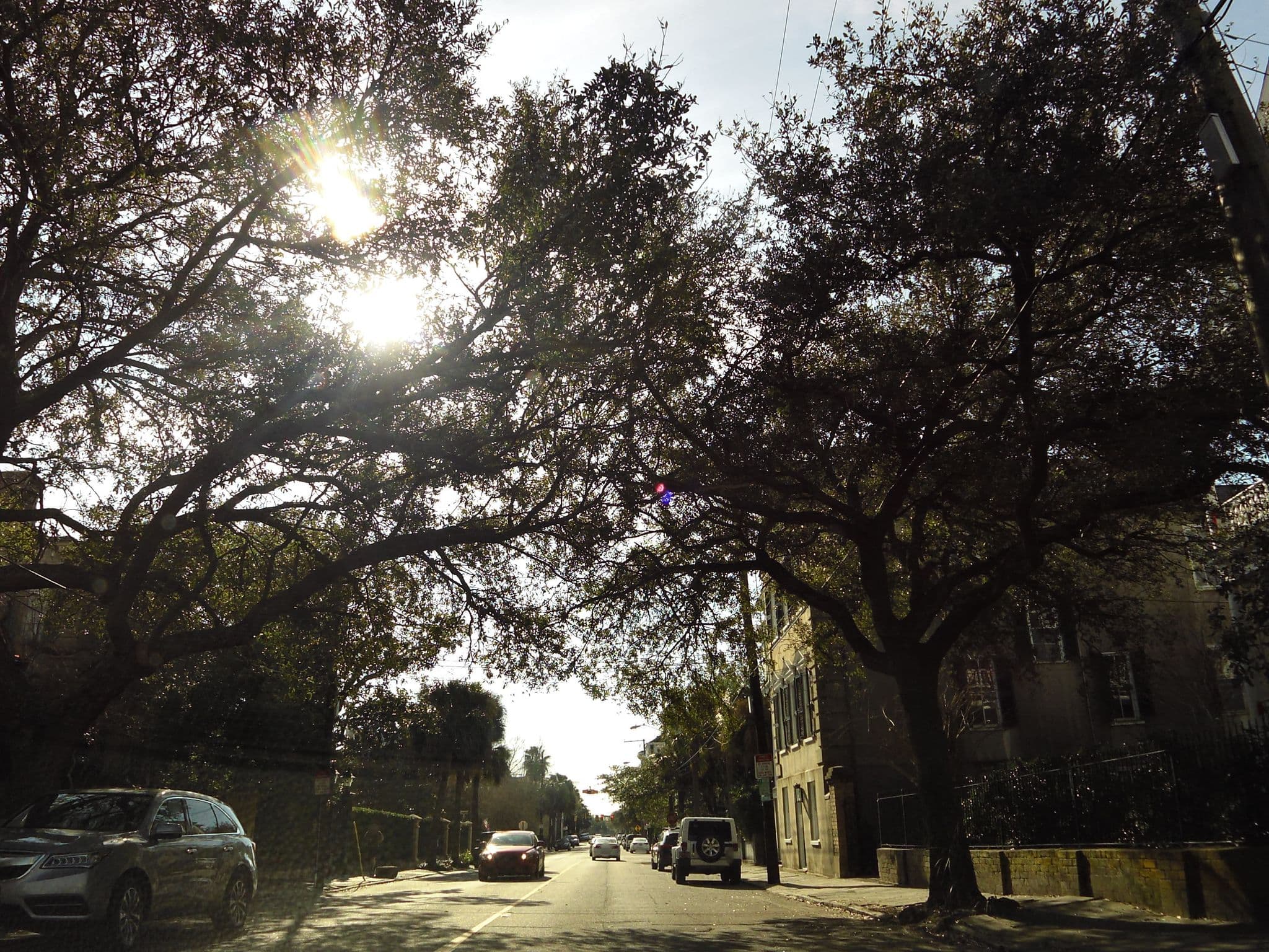 Street view near Gibbon House at Casa Zoë, Charleston — © allen (CC BY-SA · Mapillary)