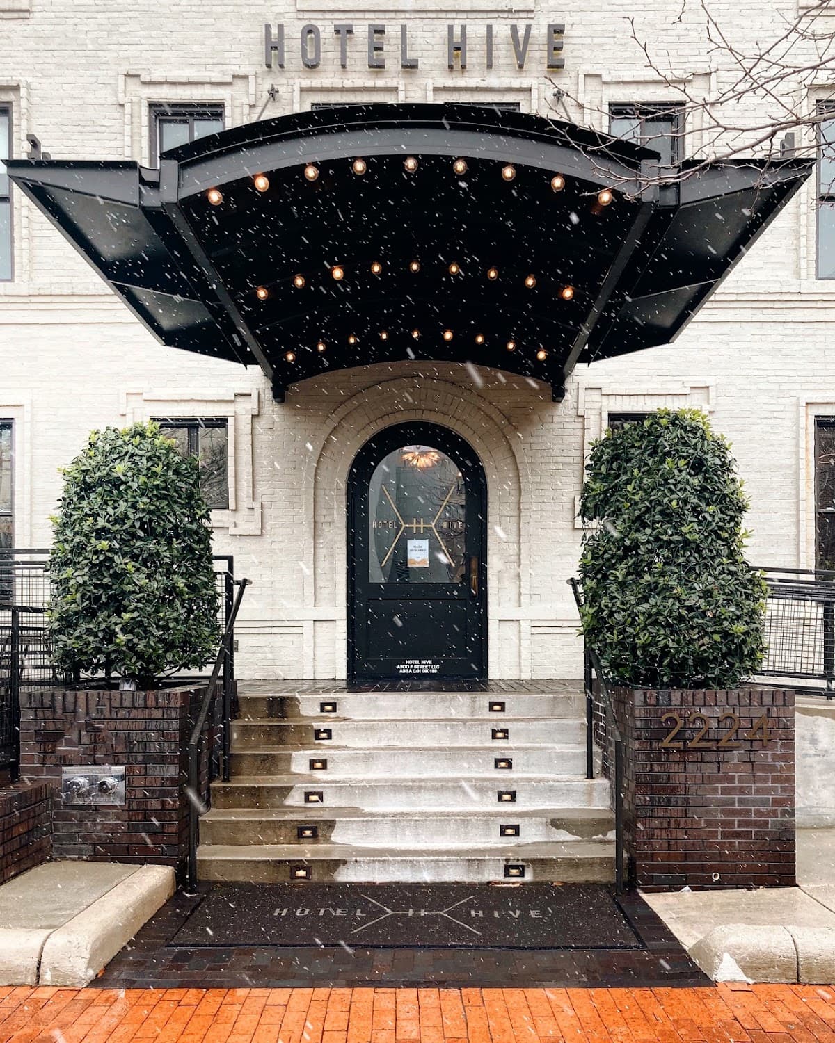 Hotel Hive, Hotel in Golden Triangle