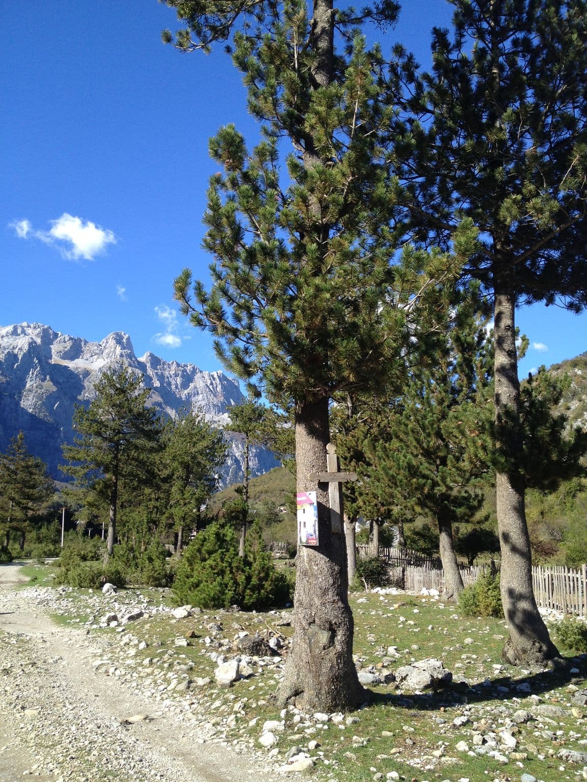 Street view near Bujtina "Prrockj", Bajram Curri